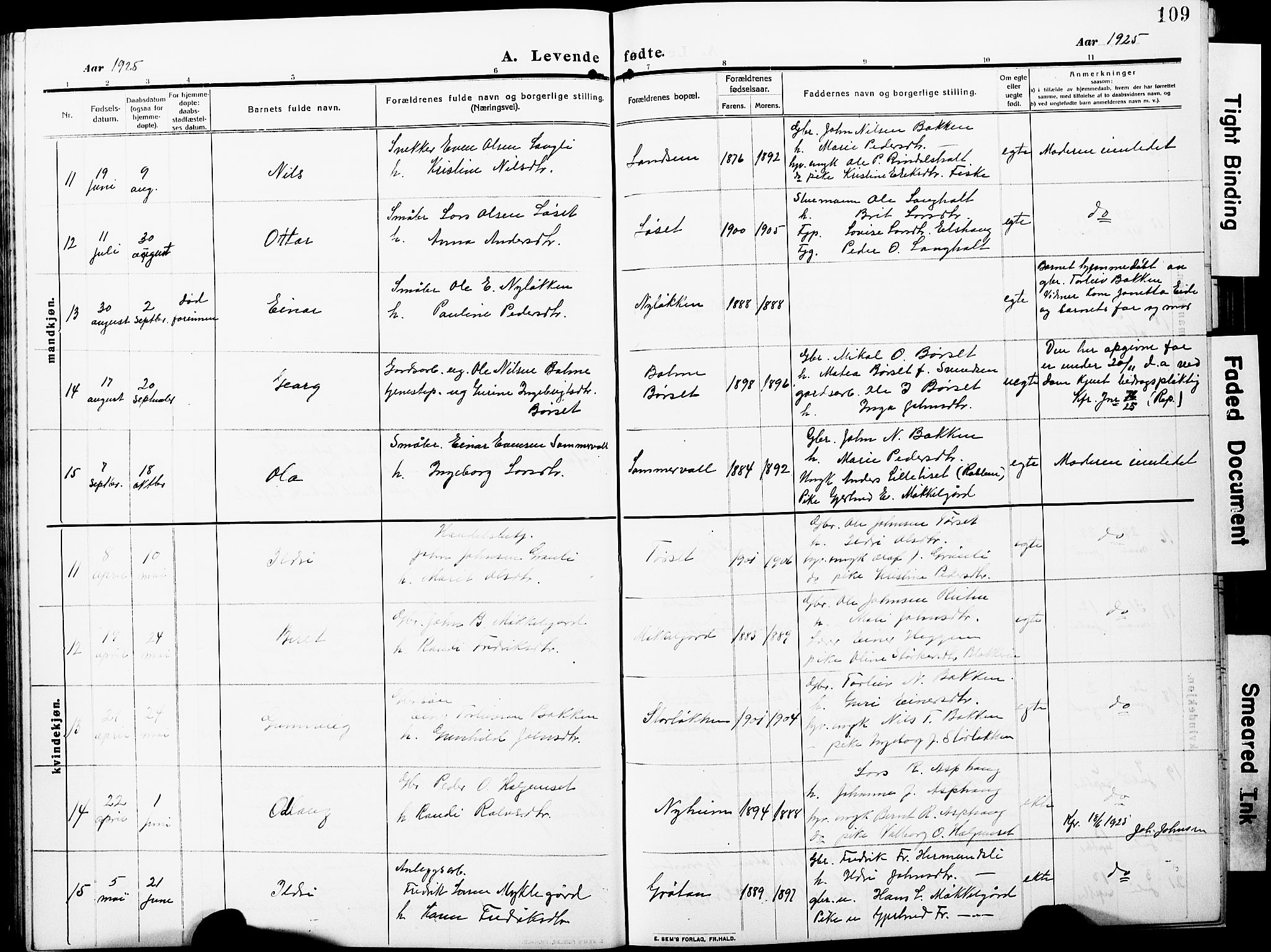 Ministerialprotokoller, klokkerbøker og fødselsregistre - Møre og Romsdal, AV/SAT-A-1454/598/L1079: Klokkerbok nr. 598C04, 1909-1927, s. 109