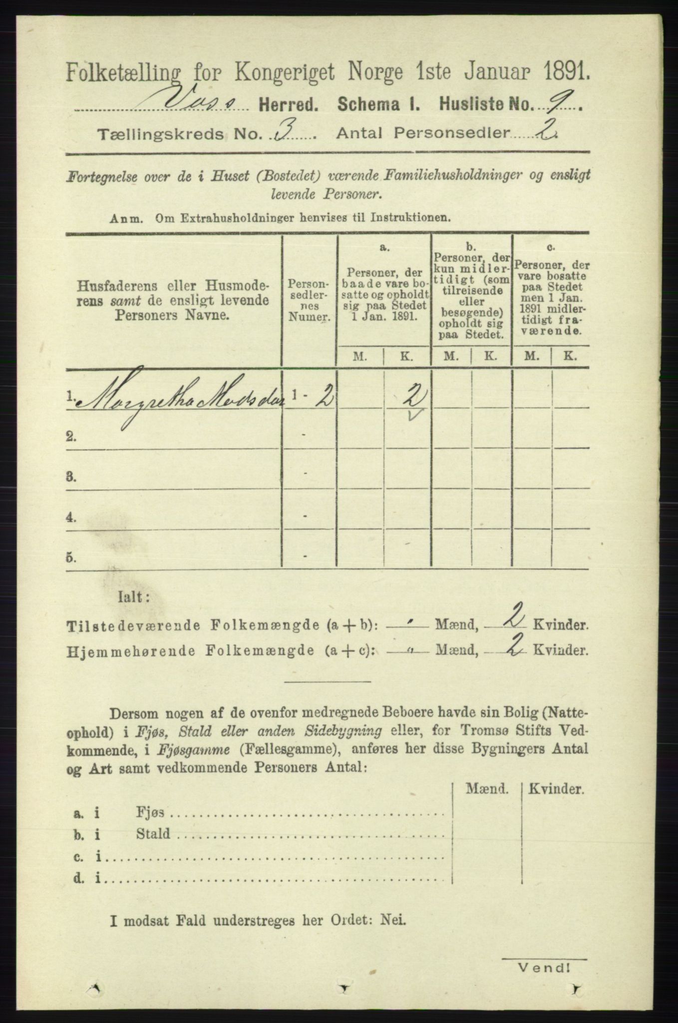 RA, Folketelling 1891 for 1235 Voss herred, 1891, s. 1141