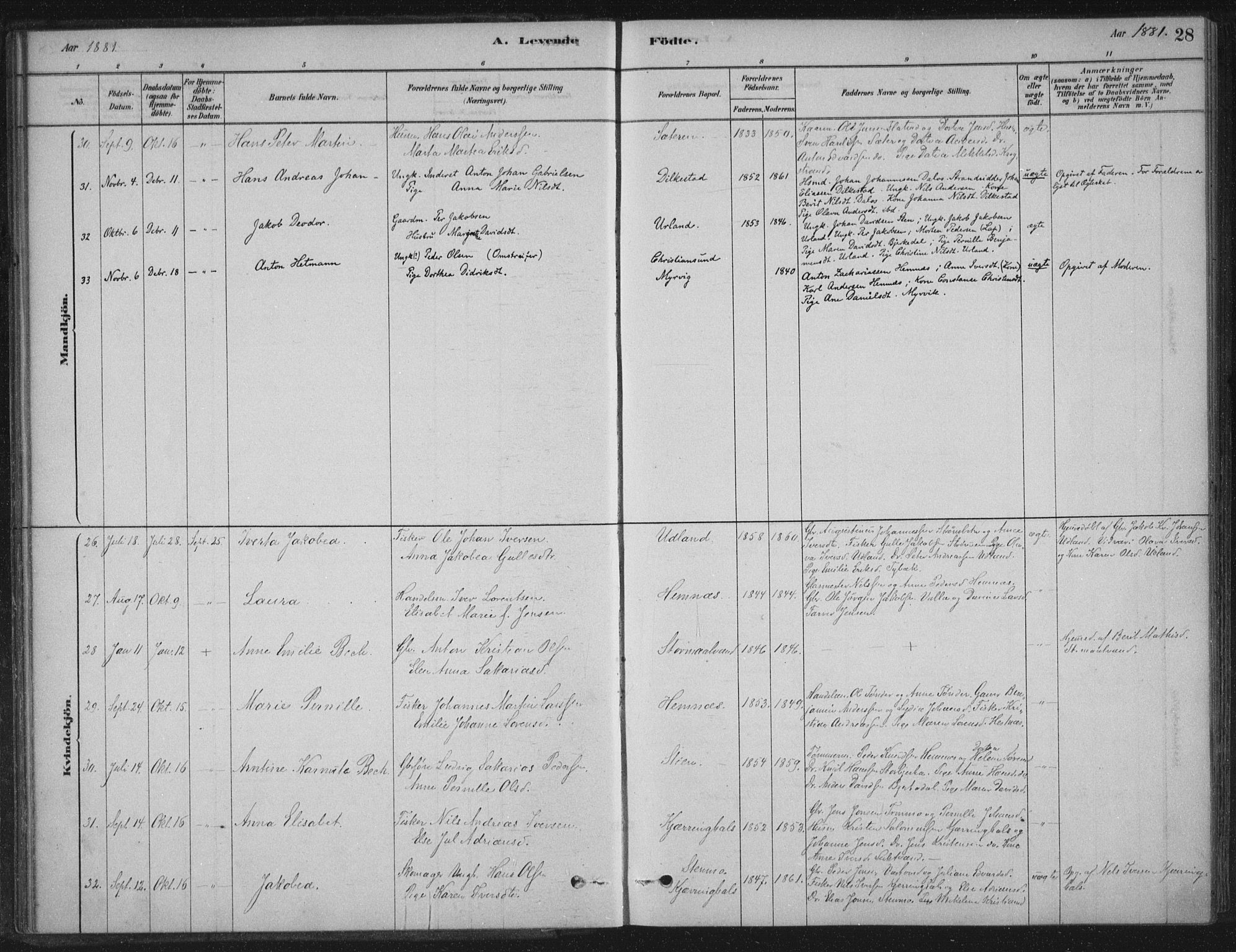 Ministerialprotokoller, klokkerbøker og fødselsregistre - Nordland, AV/SAT-A-1459/825/L0361: Ministerialbok nr. 825A15, 1878-1893, s. 28