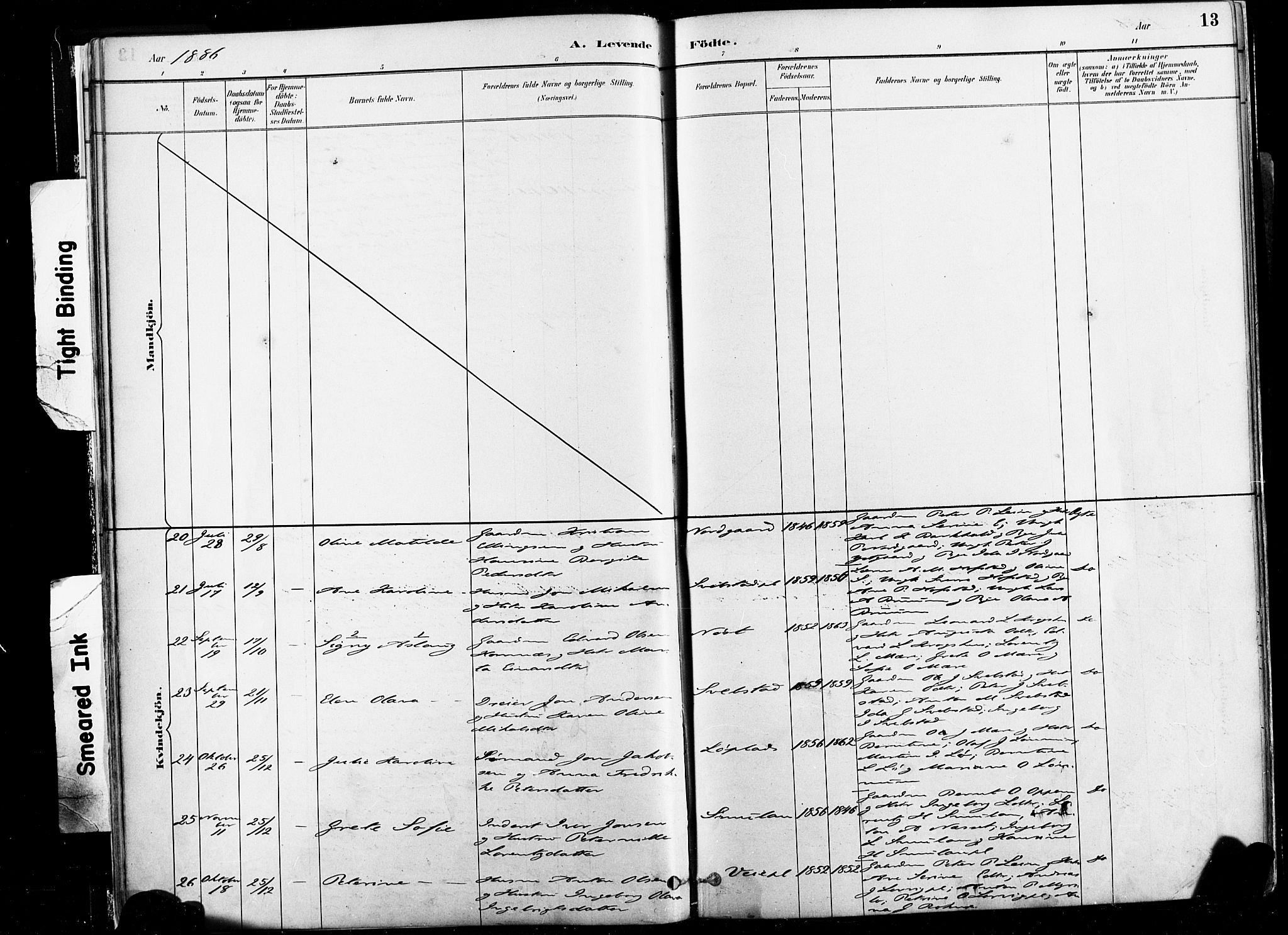 Ministerialprotokoller, klokkerbøker og fødselsregistre - Nord-Trøndelag, SAT/A-1458/735/L0351: Ministerialbok nr. 735A10, 1884-1908, s. 13