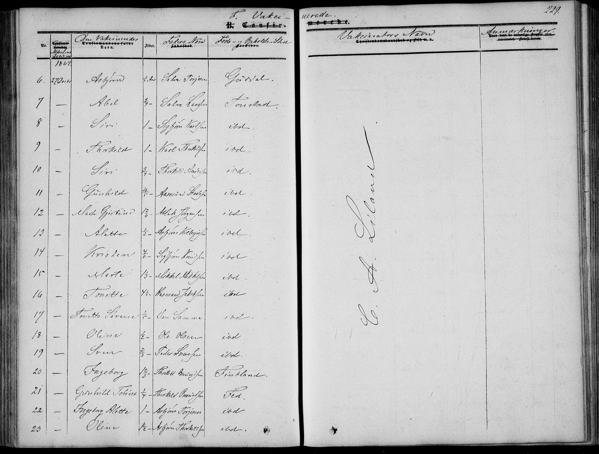 Sirdal sokneprestkontor, AV/SAK-1111-0036/F/Fa/Fab/L0002: Ministerialbok nr. A 2, 1855-1874, s. 229