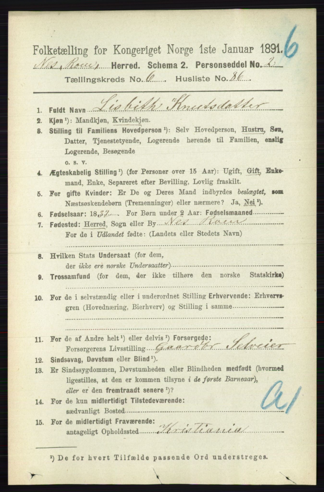 RA, Folketelling 1891 for 0236 Nes herred, 1891, s. 3912