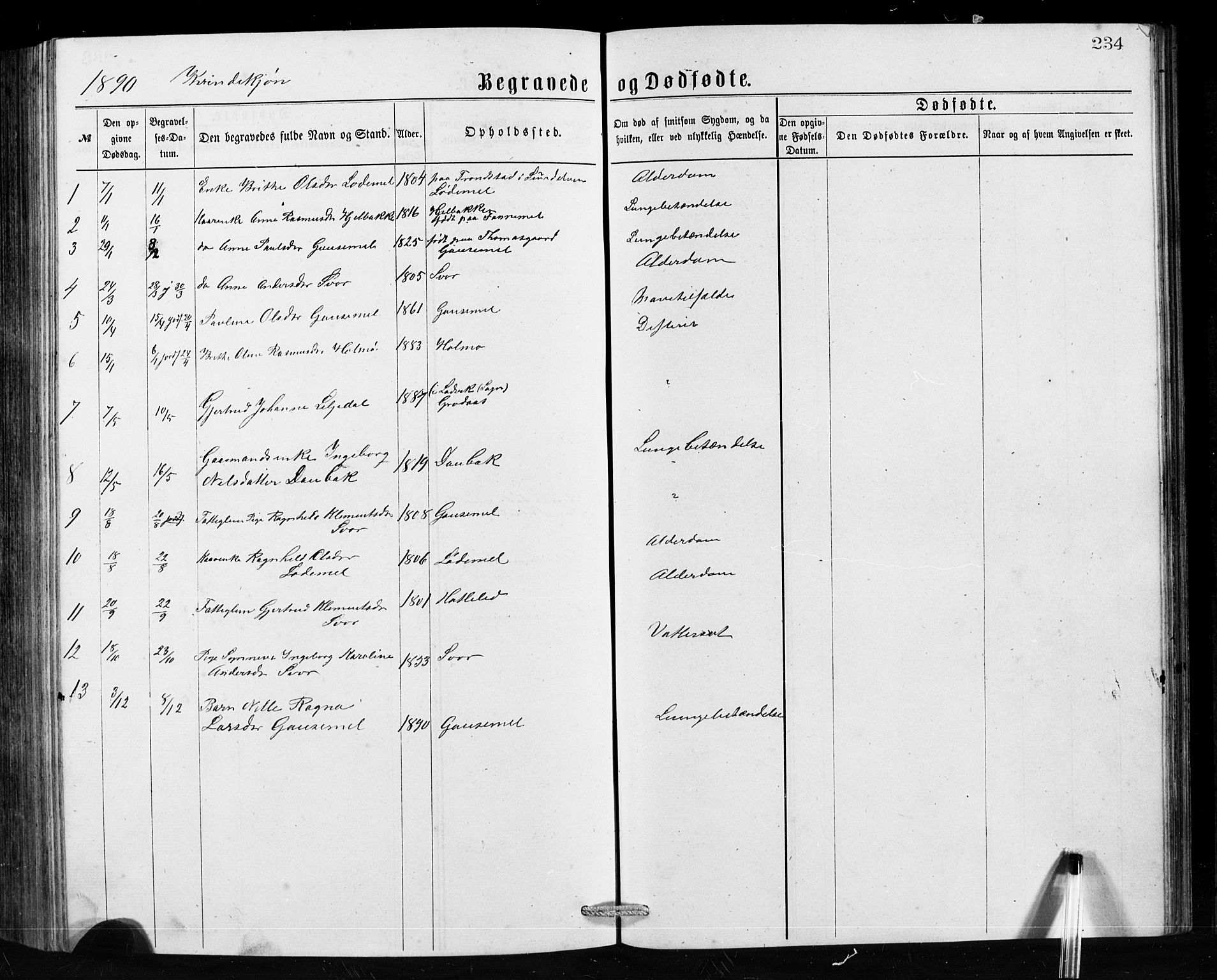 Hornindal sokneprestembete, AV/SAB-A-82401/H/Hab: Klokkerbok nr. A 1, 1876-1894, s. 234