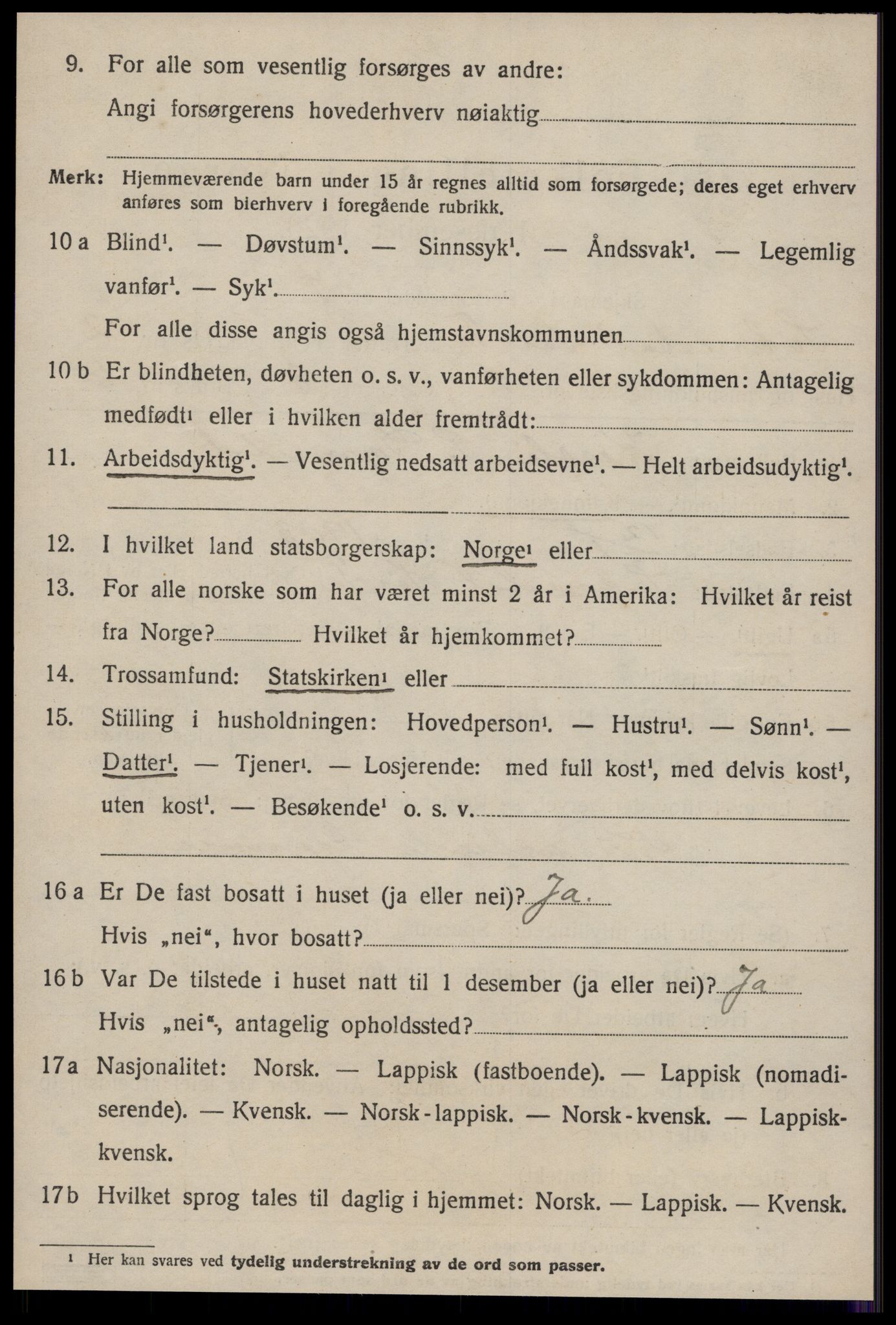 SAT, Folketelling 1920 for 1649 Soknedal herred, 1920, s. 1219