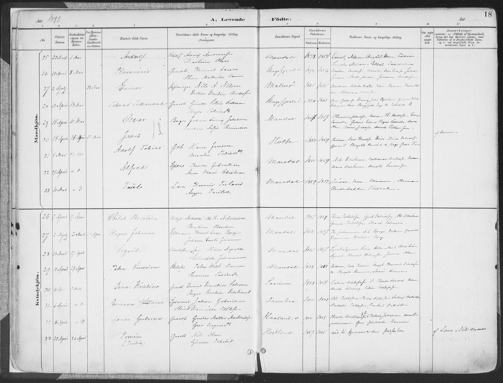 Mandal sokneprestkontor, AV/SAK-1111-0030/F/Fa/Faa/L0018: Ministerialbok nr. A 18, 1890-1905, s. 18