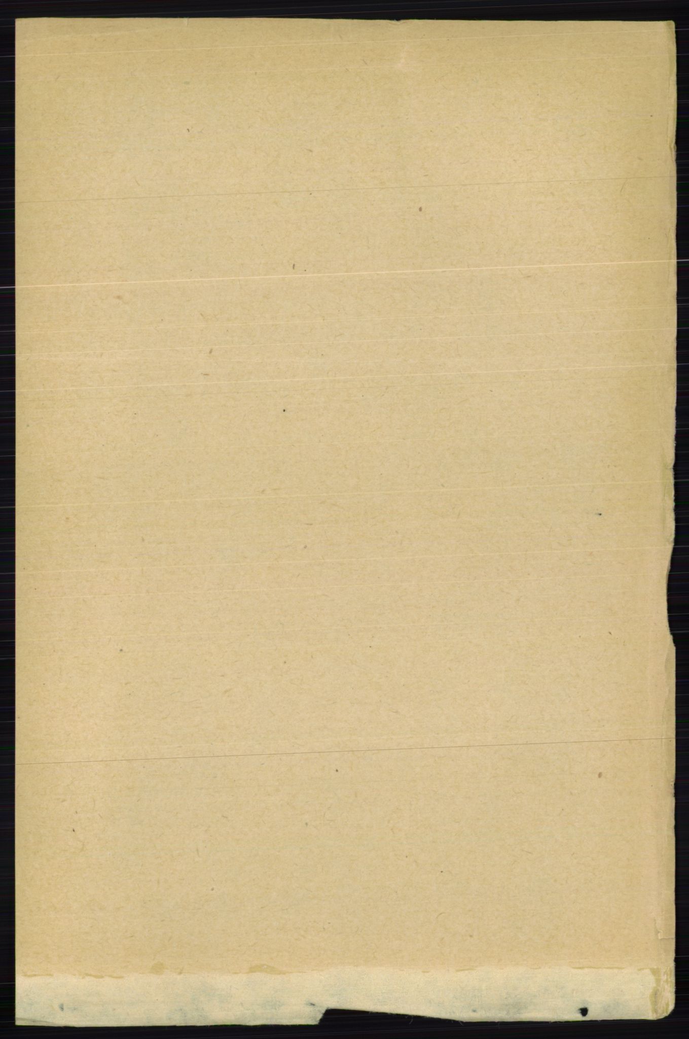 RA, Folketelling 1891 for 0237 Eidsvoll herred, 1891, s. 8480