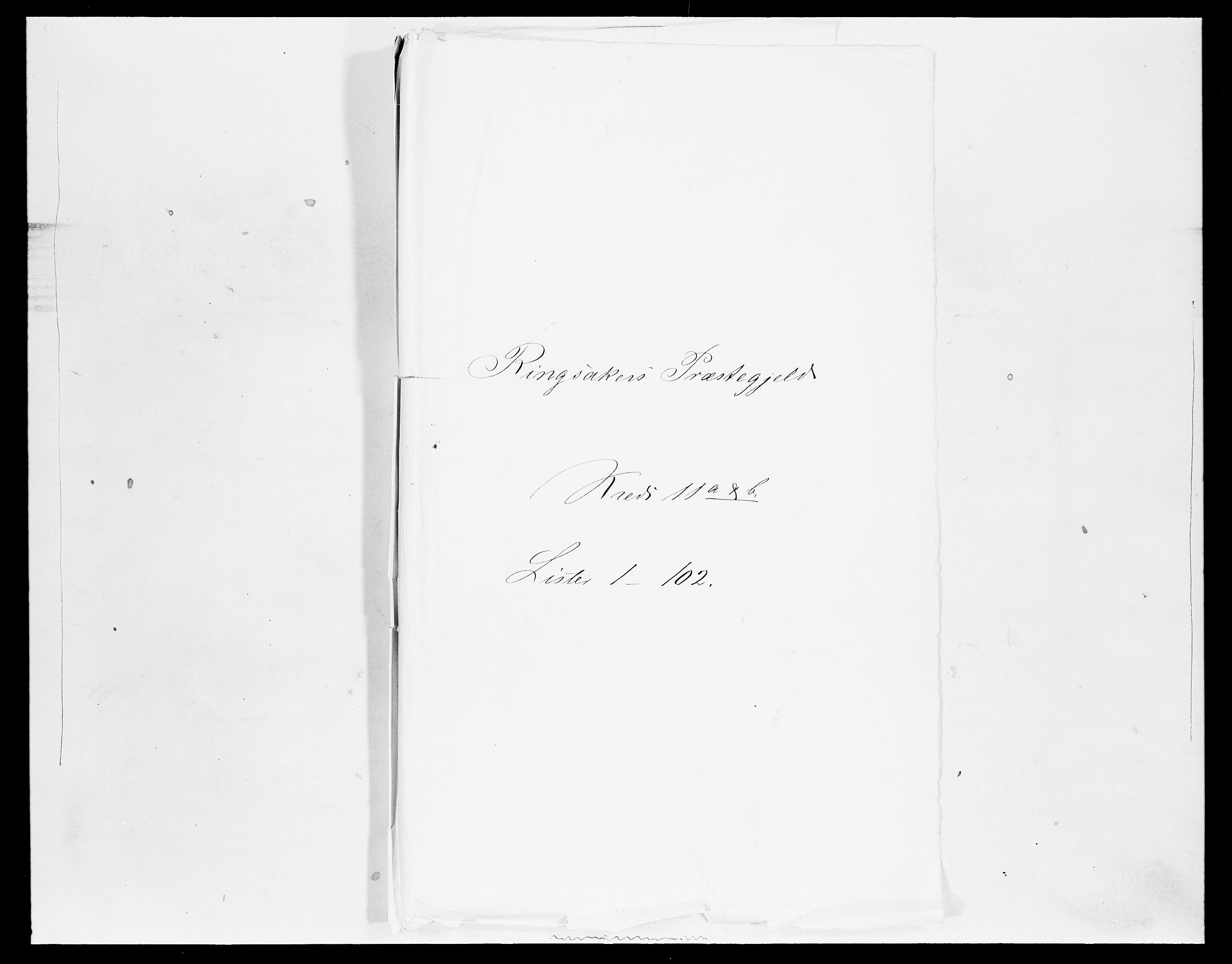 SAH, Folketelling 1875 for 0412P Ringsaker prestegjeld, 1875, s. 2162