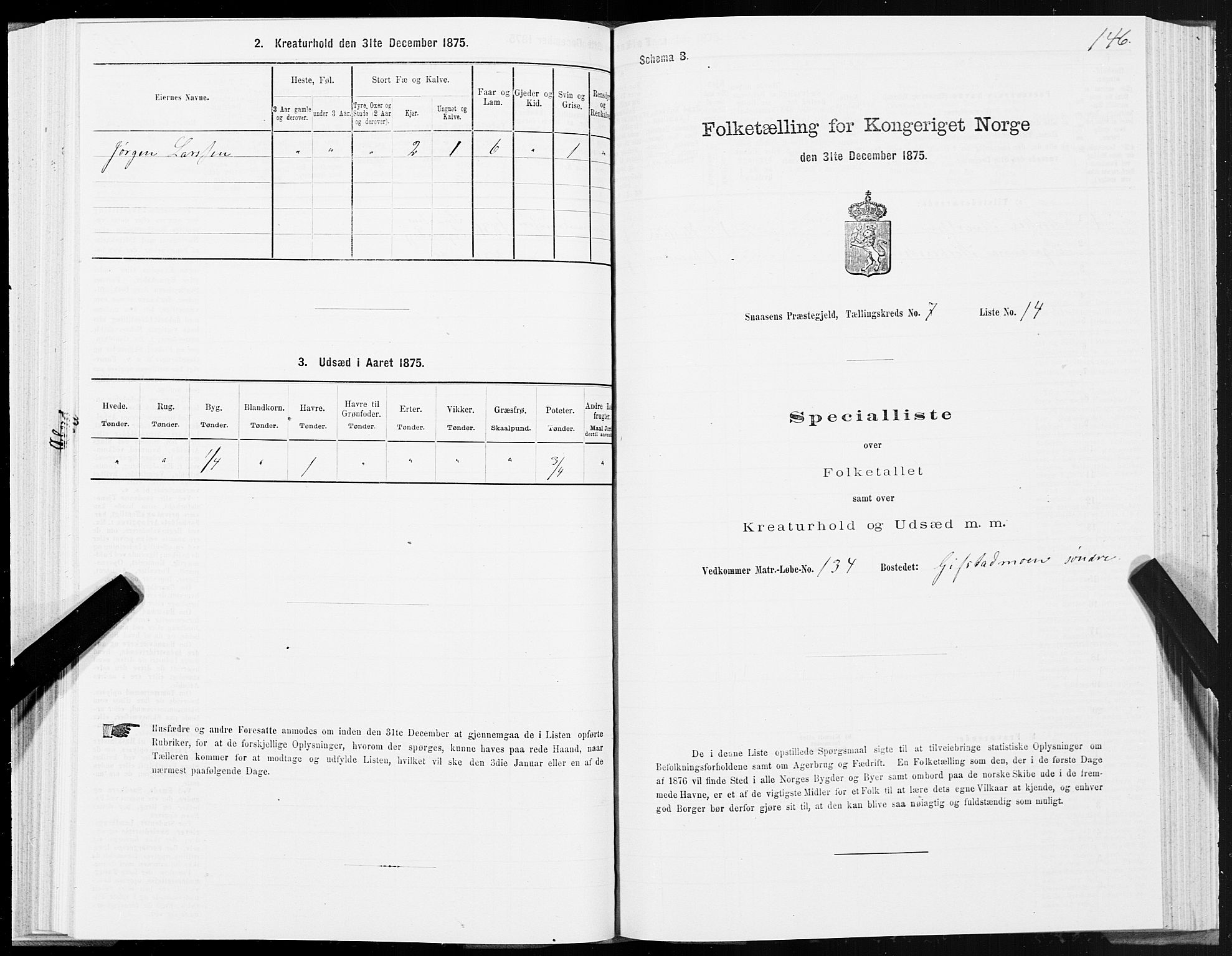 SAT, Folketelling 1875 for 1736P Snåsa prestegjeld, 1875, s. 3146