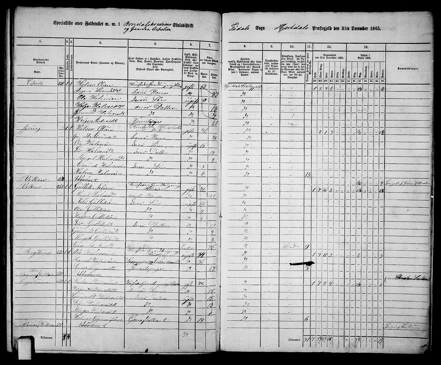 RA, Folketelling 1865 for 0827P Hjartdal prestegjeld, 1865, s. 135