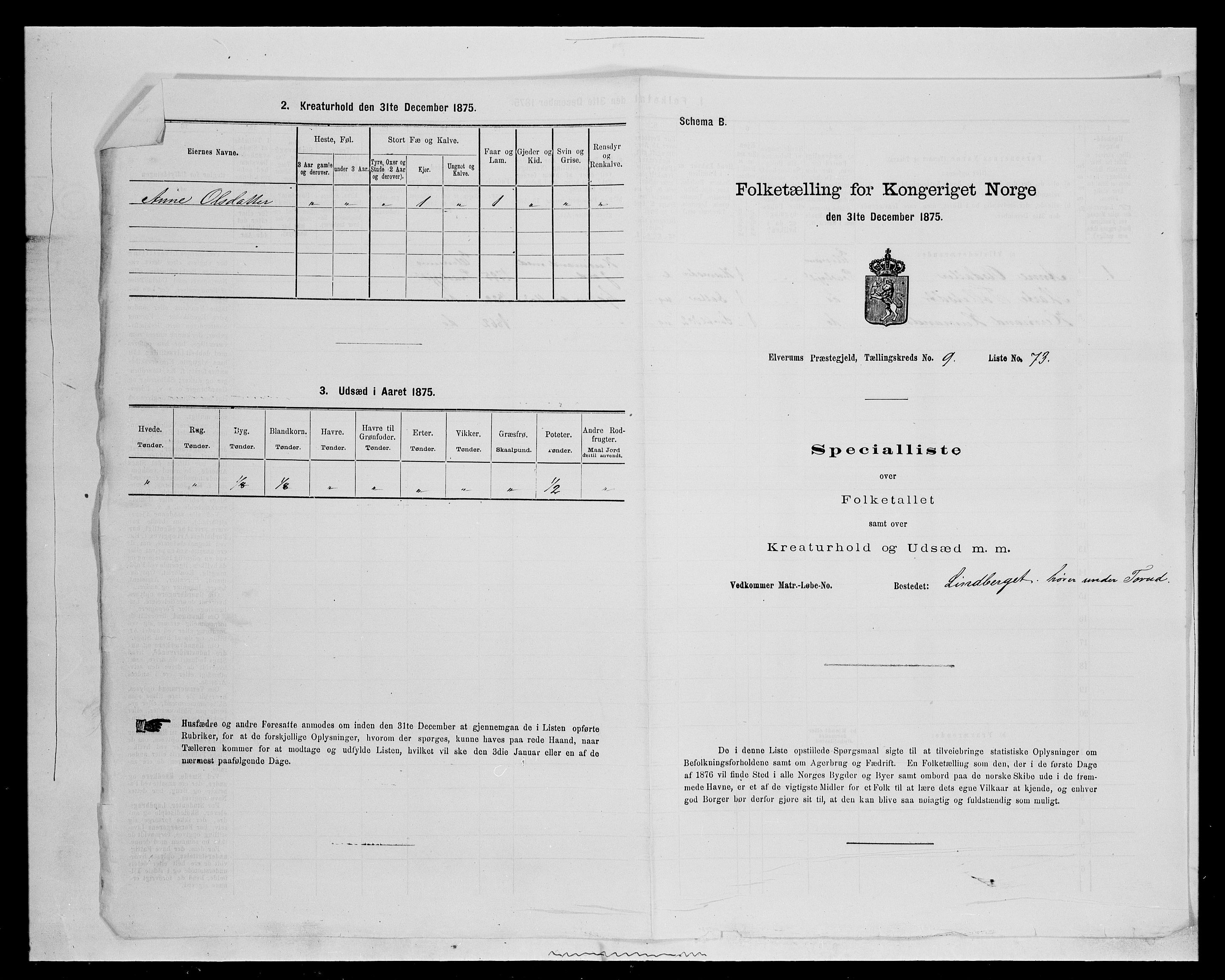 SAH, Folketelling 1875 for 0427P Elverum prestegjeld, 1875, s. 2043