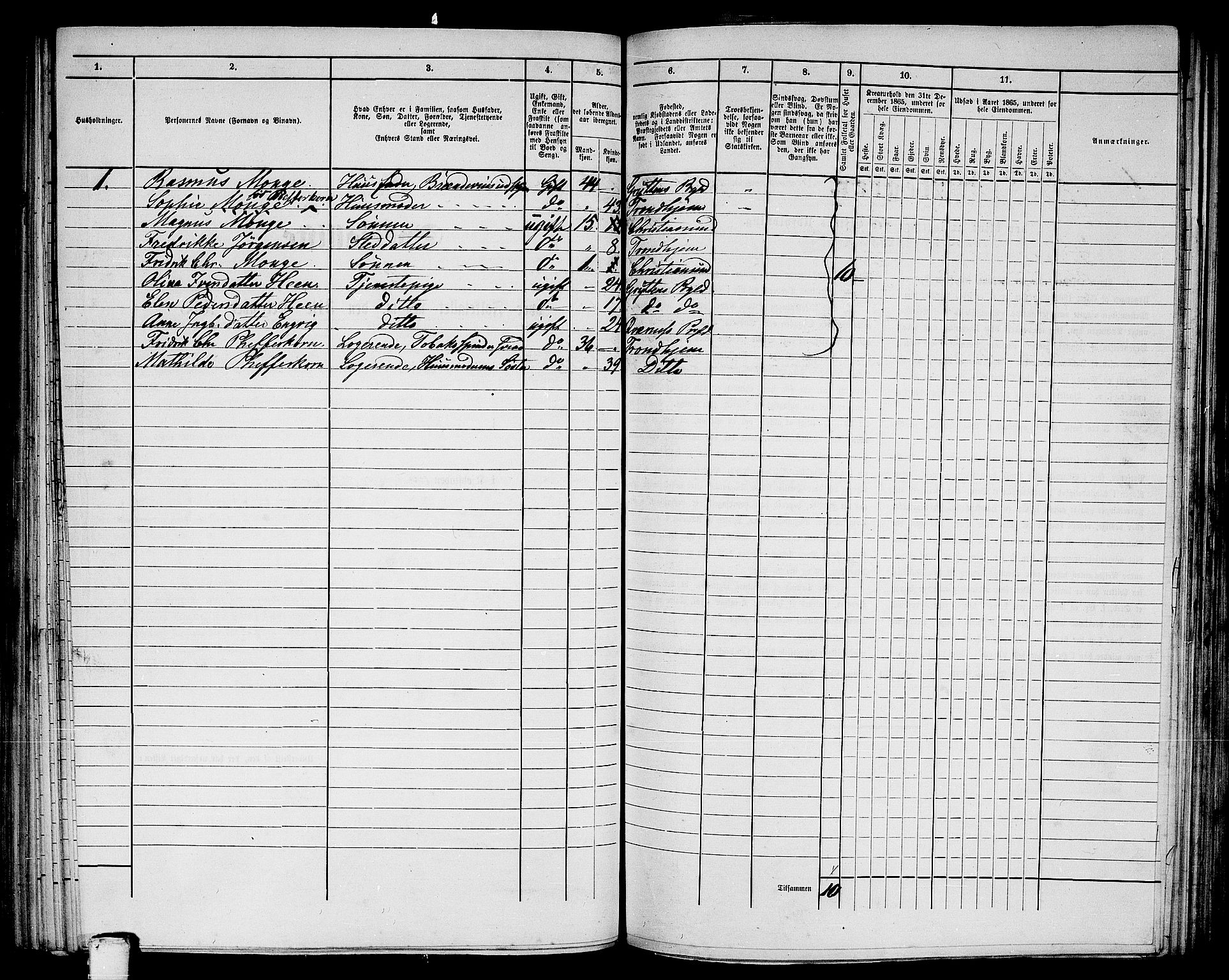 RA, Folketelling 1865 for 1503B Kristiansund prestegjeld, Kristiansund kjøpstad, 1865, s. 215