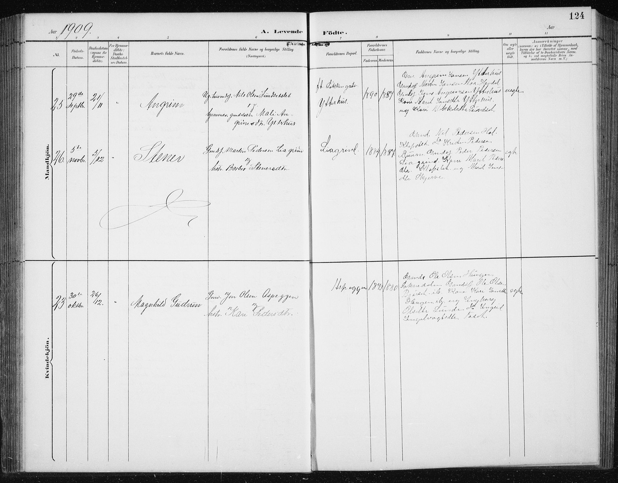 Ministerialprotokoller, klokkerbøker og fødselsregistre - Sør-Trøndelag, AV/SAT-A-1456/674/L0876: Klokkerbok nr. 674C03, 1892-1912, s. 124