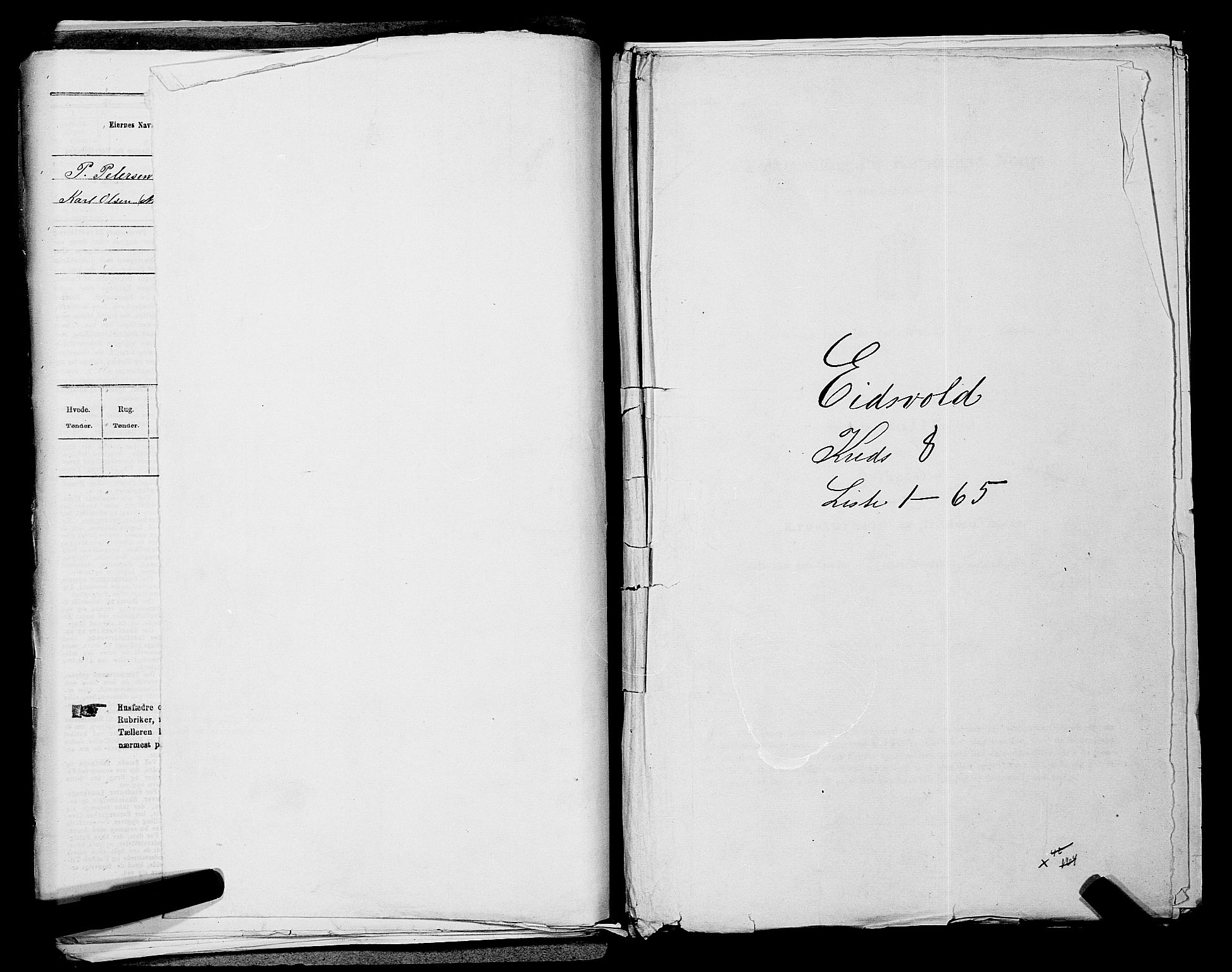 RA, Folketelling 1875 for 0237P Eidsvoll prestegjeld, 1875, s. 1071