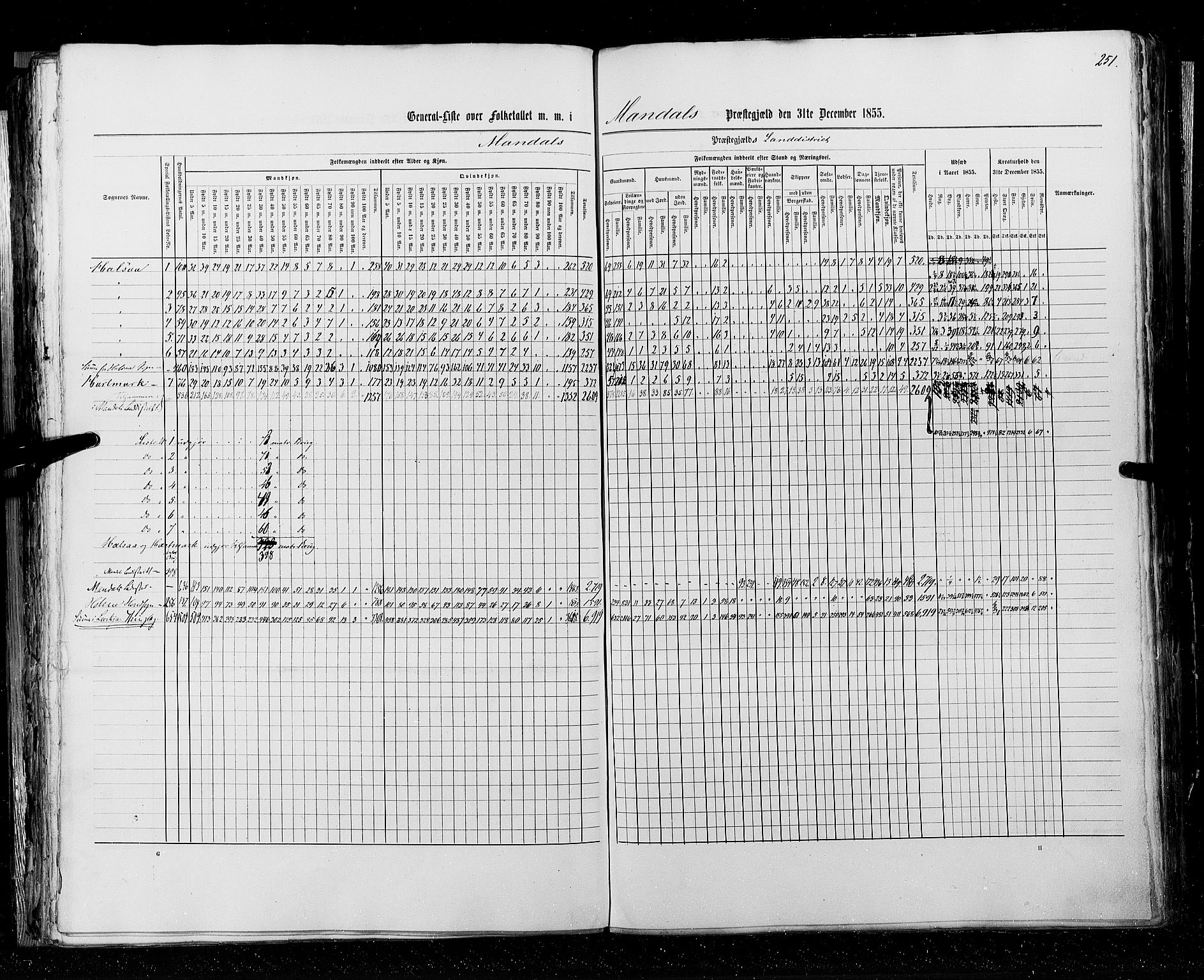 RA, Folketellingen 1855, bind 3: Bratsberg amt, Nedenes amt og Lister og Mandal amt, 1855, s. 251