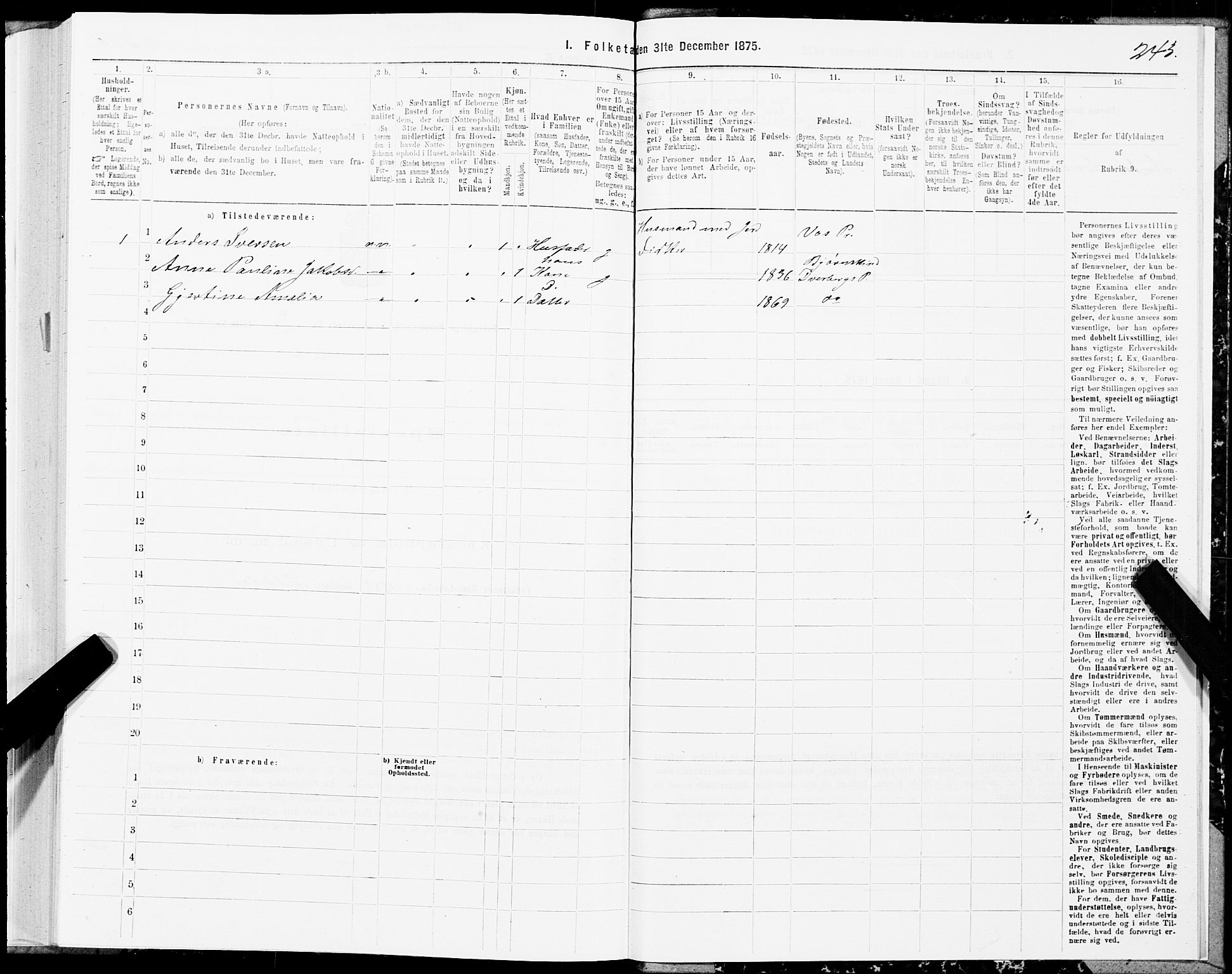 SAT, Folketelling 1875 for 1872P Dverberg prestegjeld, 1875, s. 1243