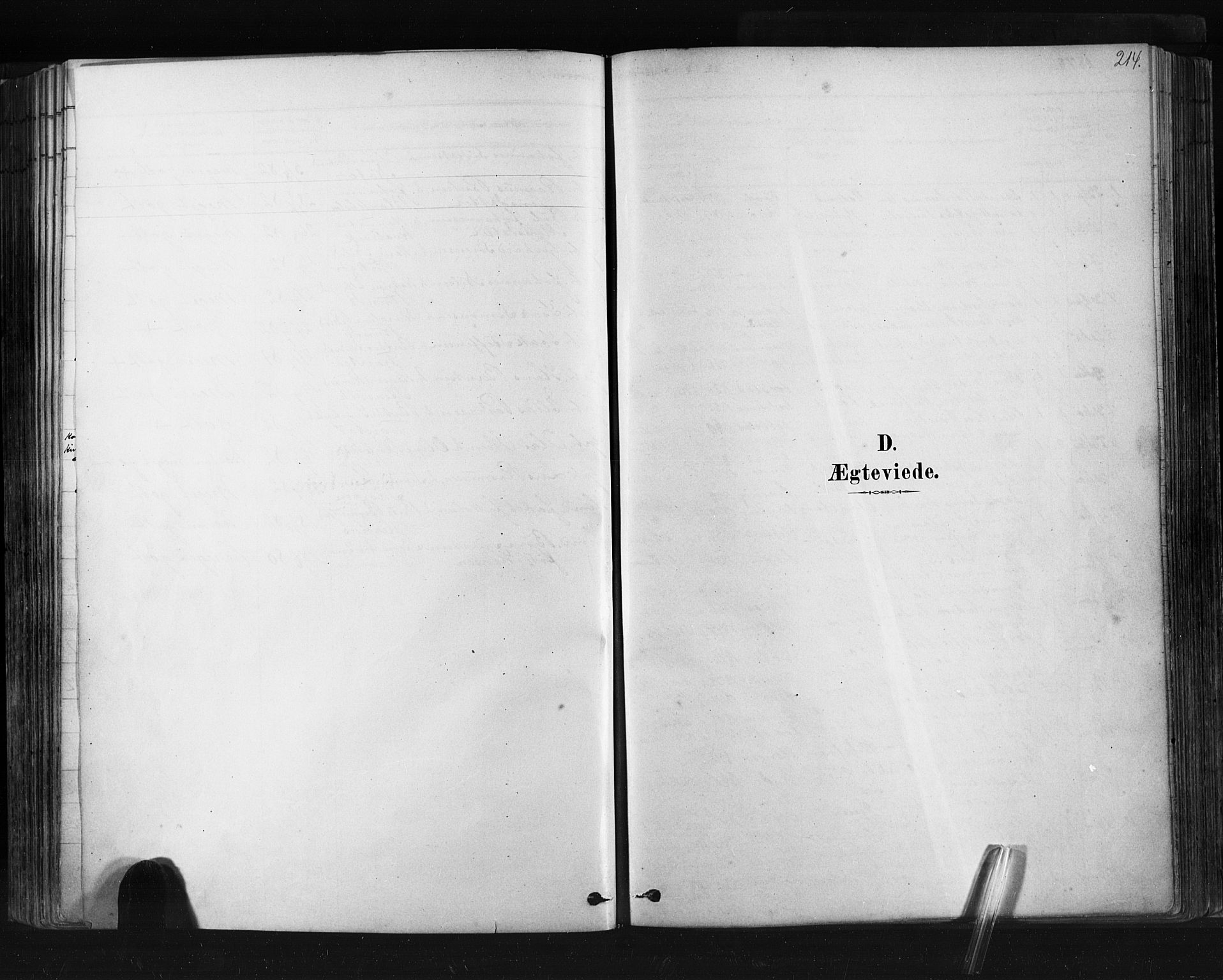Ministerialprotokoller, klokkerbøker og fødselsregistre - Møre og Romsdal, AV/SAT-A-1454/507/L0073: Ministerialbok nr. 507A08, 1878-1904, s. 214