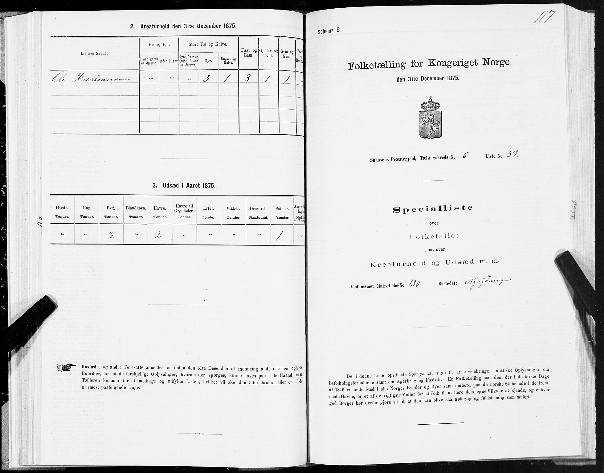 SAT, Folketelling 1875 for 1736P Snåsa prestegjeld, 1875, s. 3117