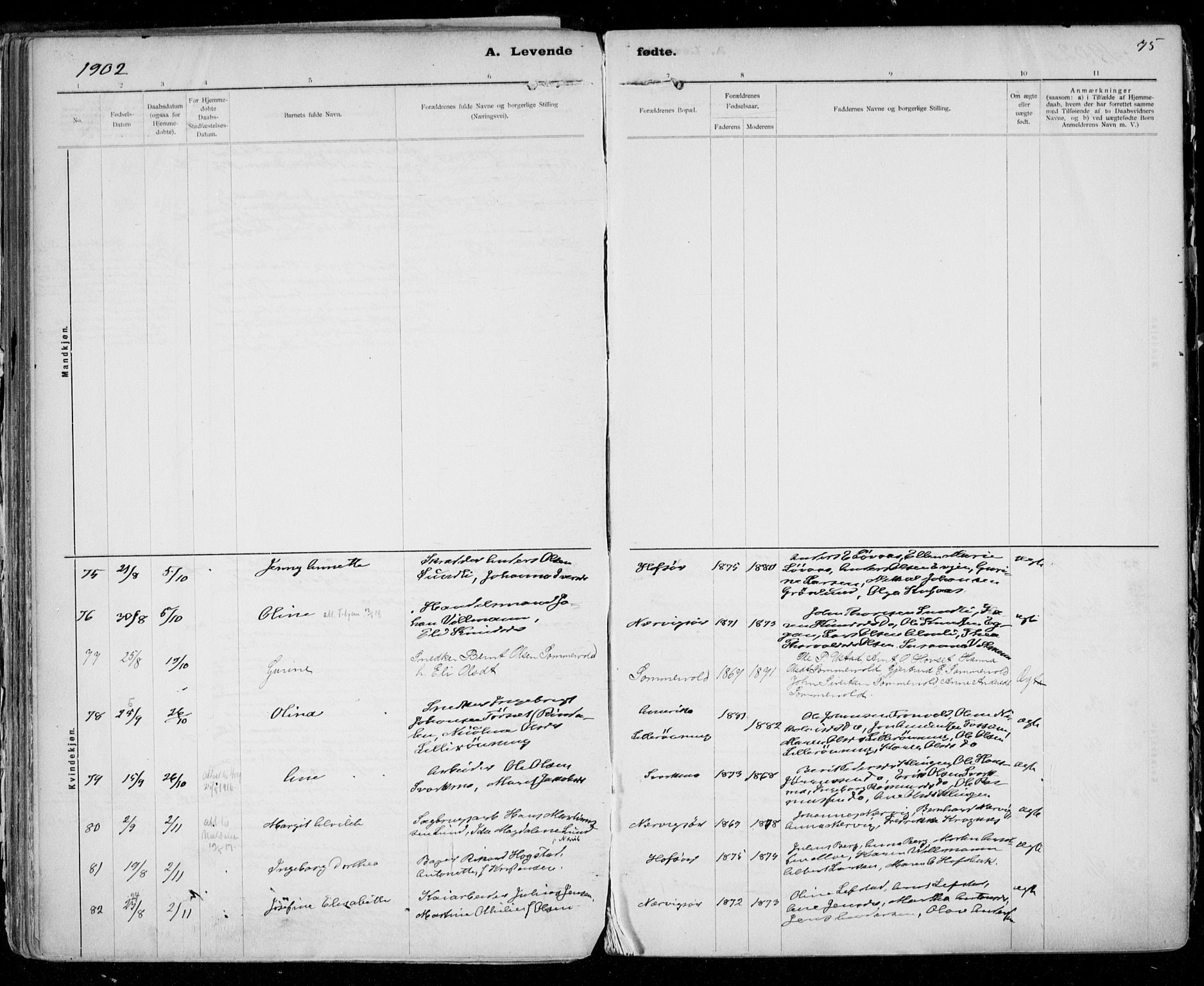 Ministerialprotokoller, klokkerbøker og fødselsregistre - Sør-Trøndelag, SAT/A-1456/668/L0811: Ministerialbok nr. 668A11, 1894-1913, s. 75