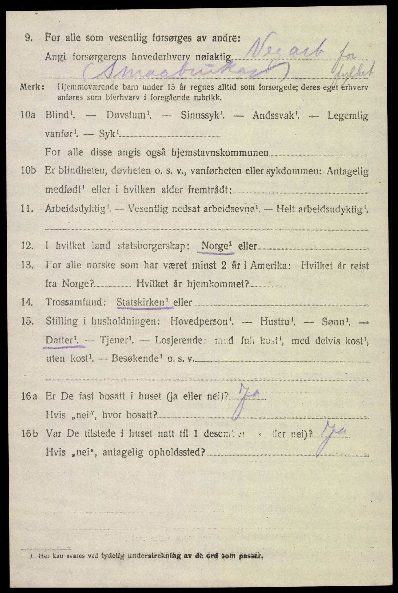 SAK, Folketelling 1920 for 0936 Hornnes herred, 1920, s. 1036