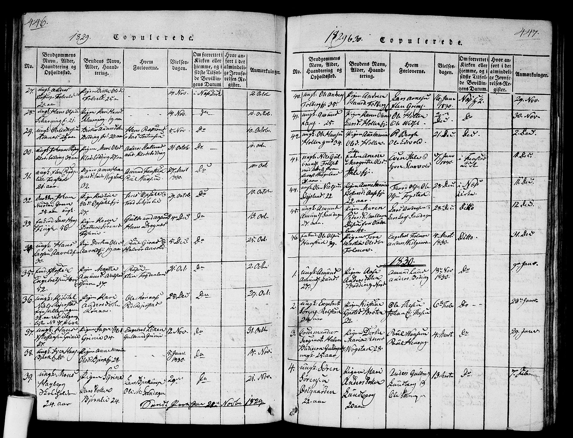Nes prestekontor Kirkebøker, AV/SAO-A-10410/G/Ga/L0001: Klokkerbok nr. I 1, 1815-1835, s. 446-447