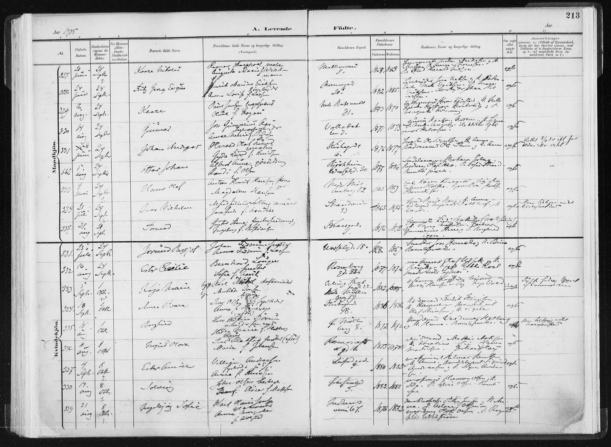 Ministerialprotokoller, klokkerbøker og fødselsregistre - Sør-Trøndelag, SAT/A-1456/604/L0199: Ministerialbok nr. 604A20I, 1901-1906, s. 213