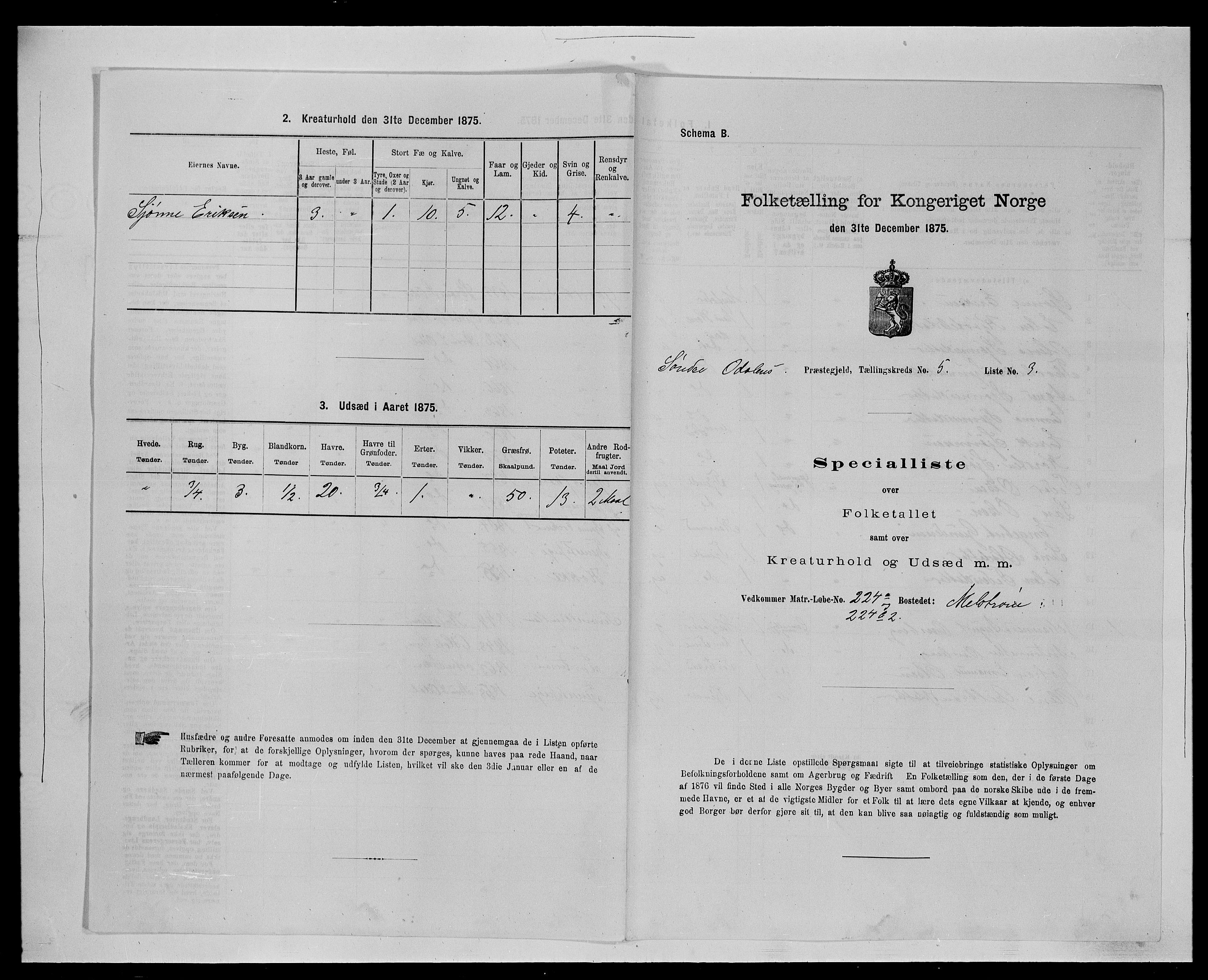 SAH, Folketelling 1875 for 0419P Sør-Odal prestegjeld, 1875, s. 492