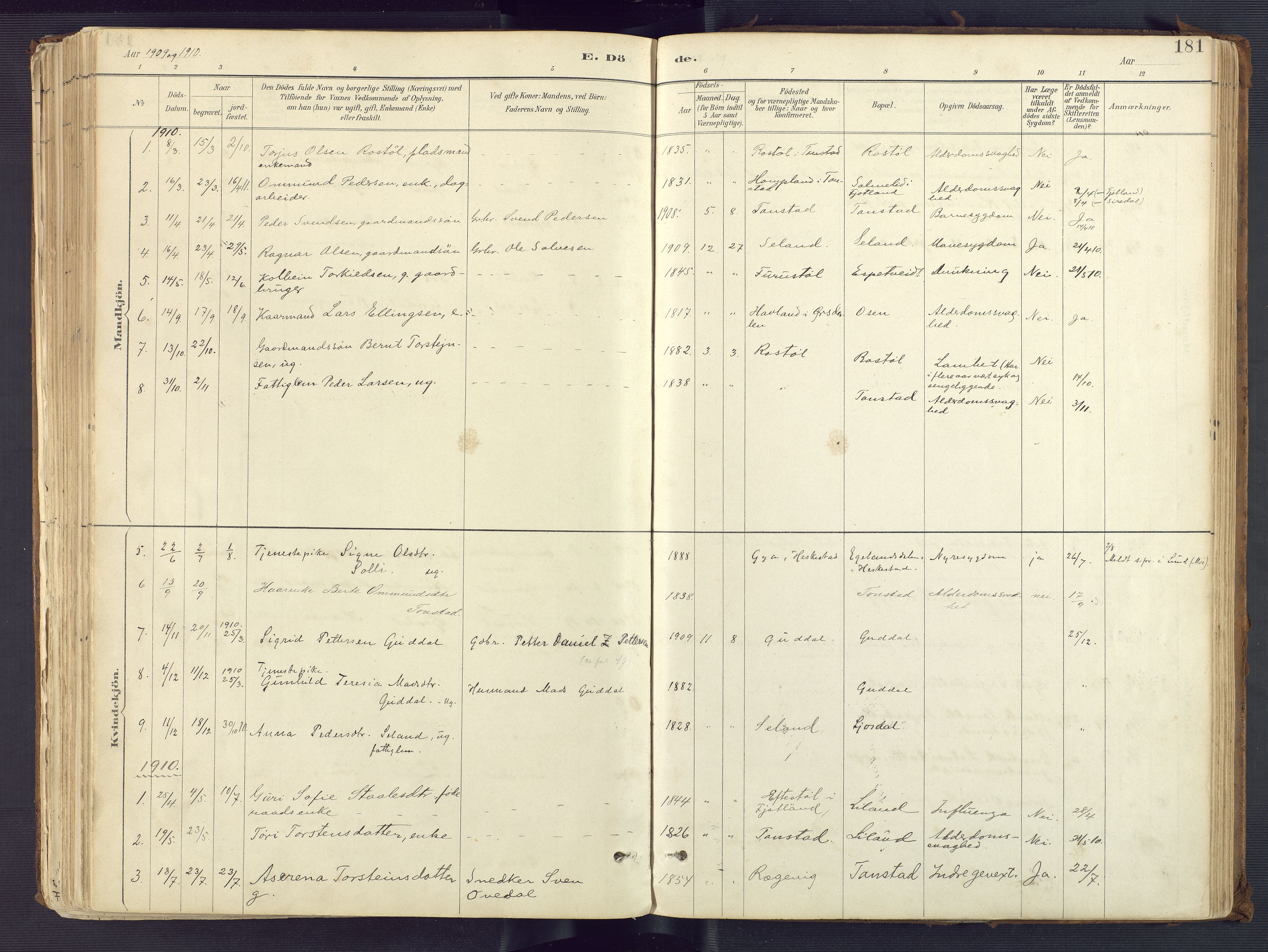 Sirdal sokneprestkontor, SAK/1111-0036/F/Fa/Fab/L0004: Ministerialbok nr. A 4, 1887-1919, s. 181