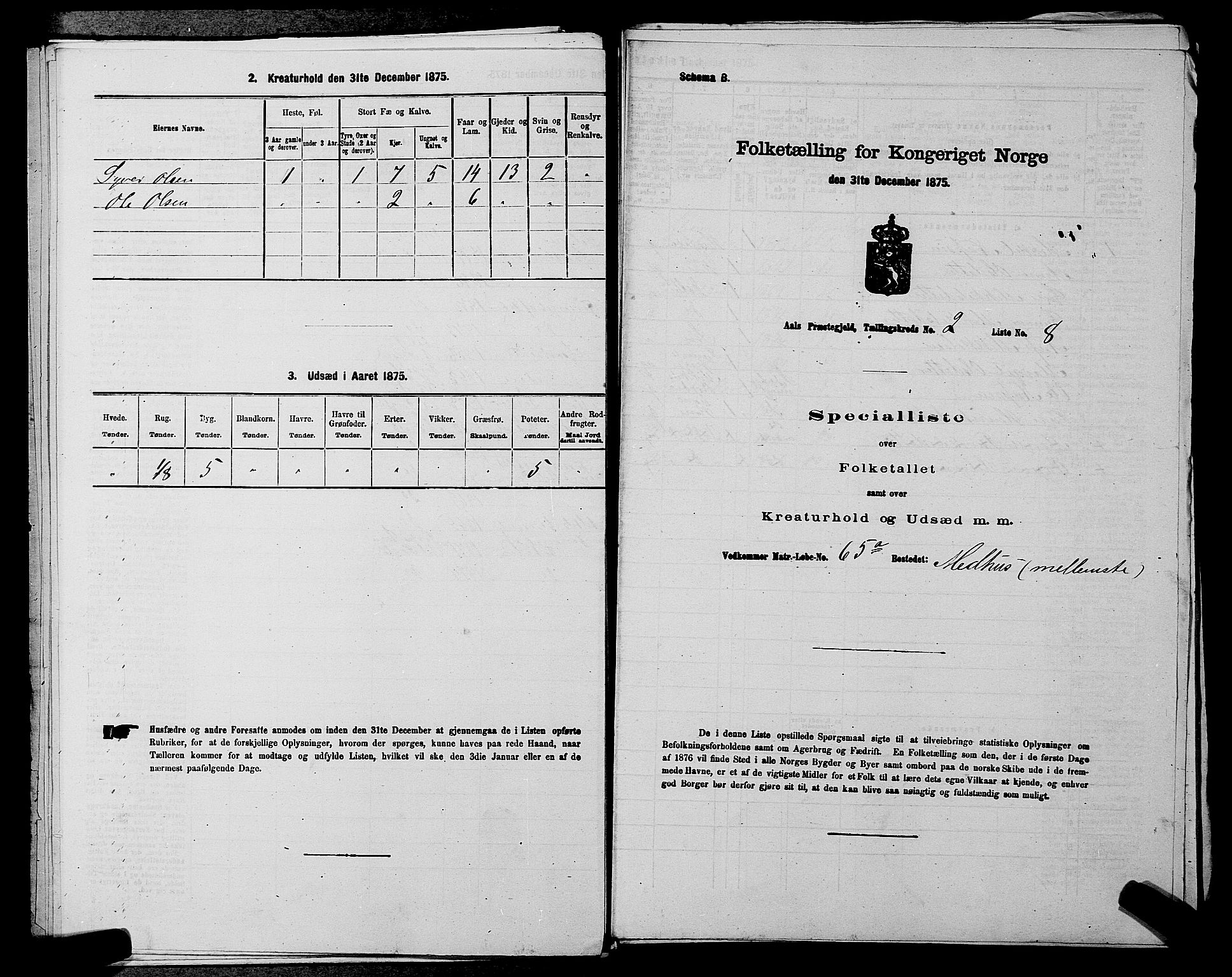 SAKO, Folketelling 1875 for 0619P Ål prestegjeld, 1875, s. 244