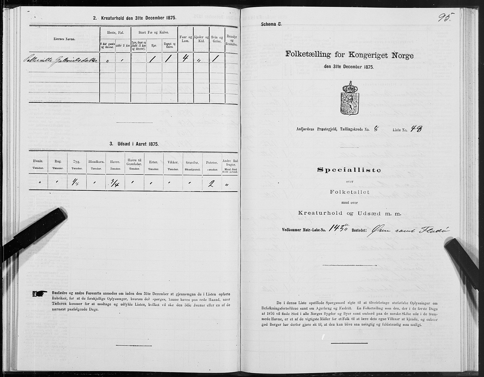 SAT, Folketelling 1875 for 1630P Aafjorden prestegjeld, 1875, s. 4095