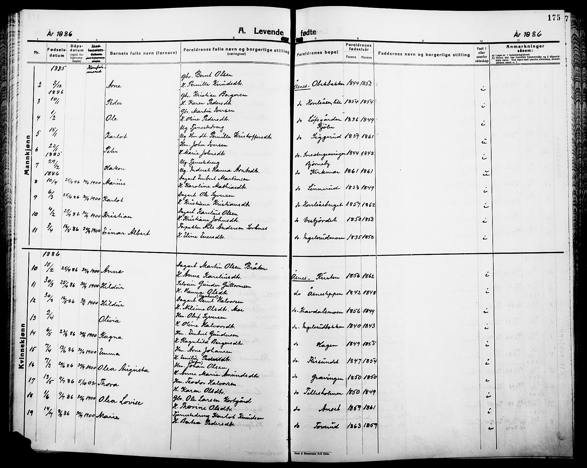 Åsnes prestekontor, SAH/PREST-042/H/Ha/Haa/L0000B: Ministerialbok, 1870-1889, s. 175