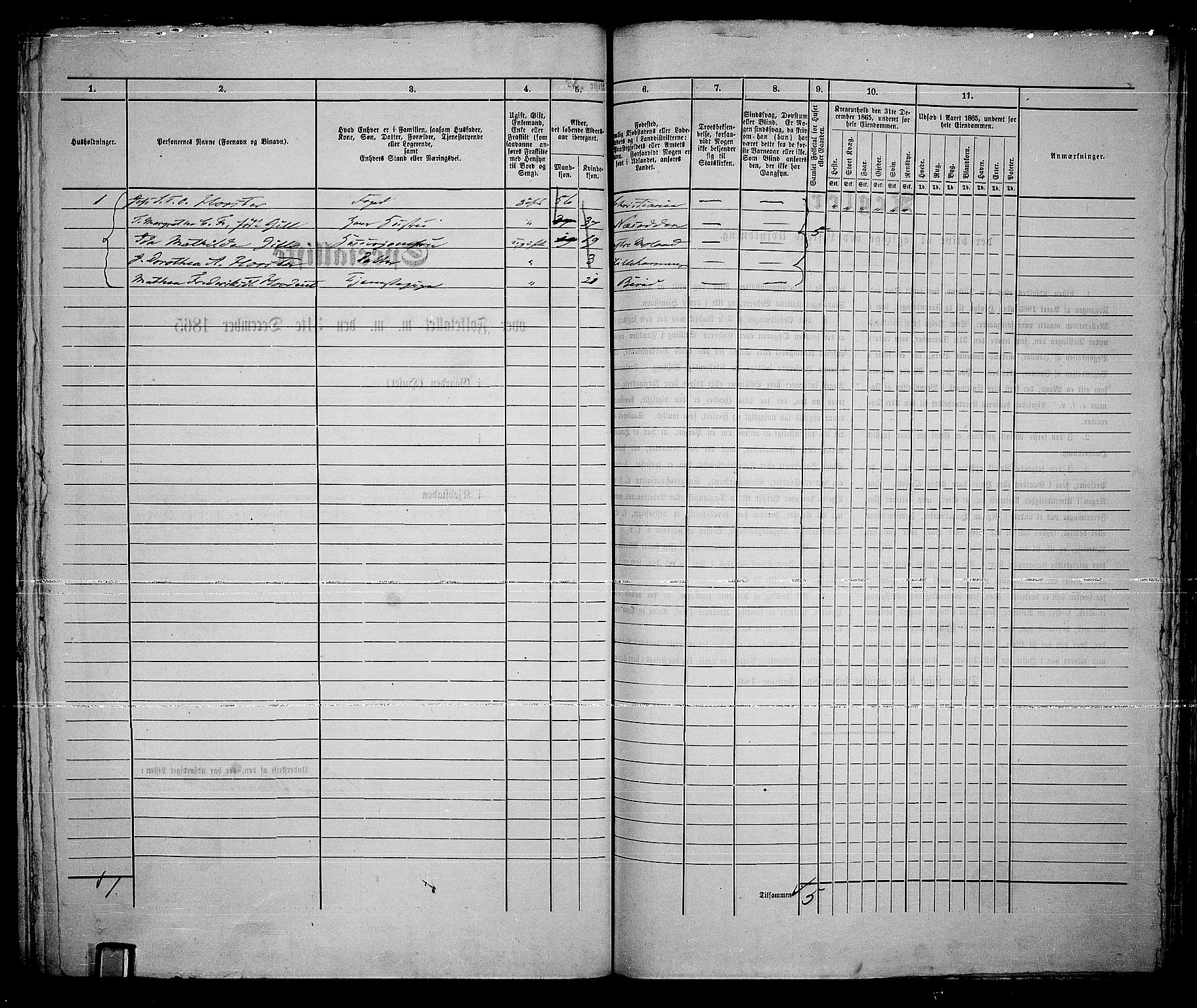 RA, Folketelling 1865 for 0501B Fåberg prestegjeld, Lillehammer kjøpstad, 1865, s. 213