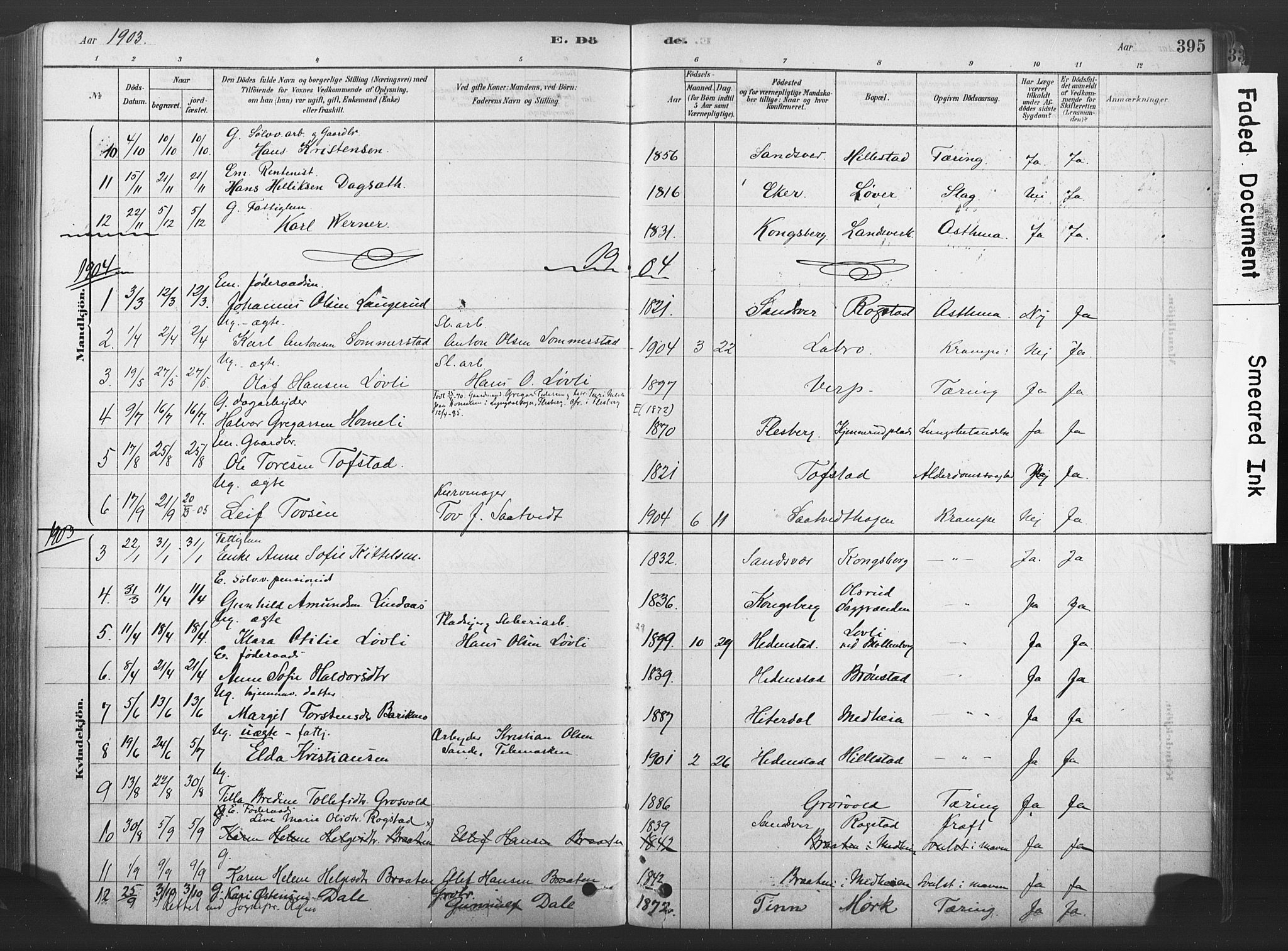 Sandsvær kirkebøker, AV/SAKO-A-244/F/Fd/L0001: Ministerialbok nr. IV 1, 1878-1906, s. 395