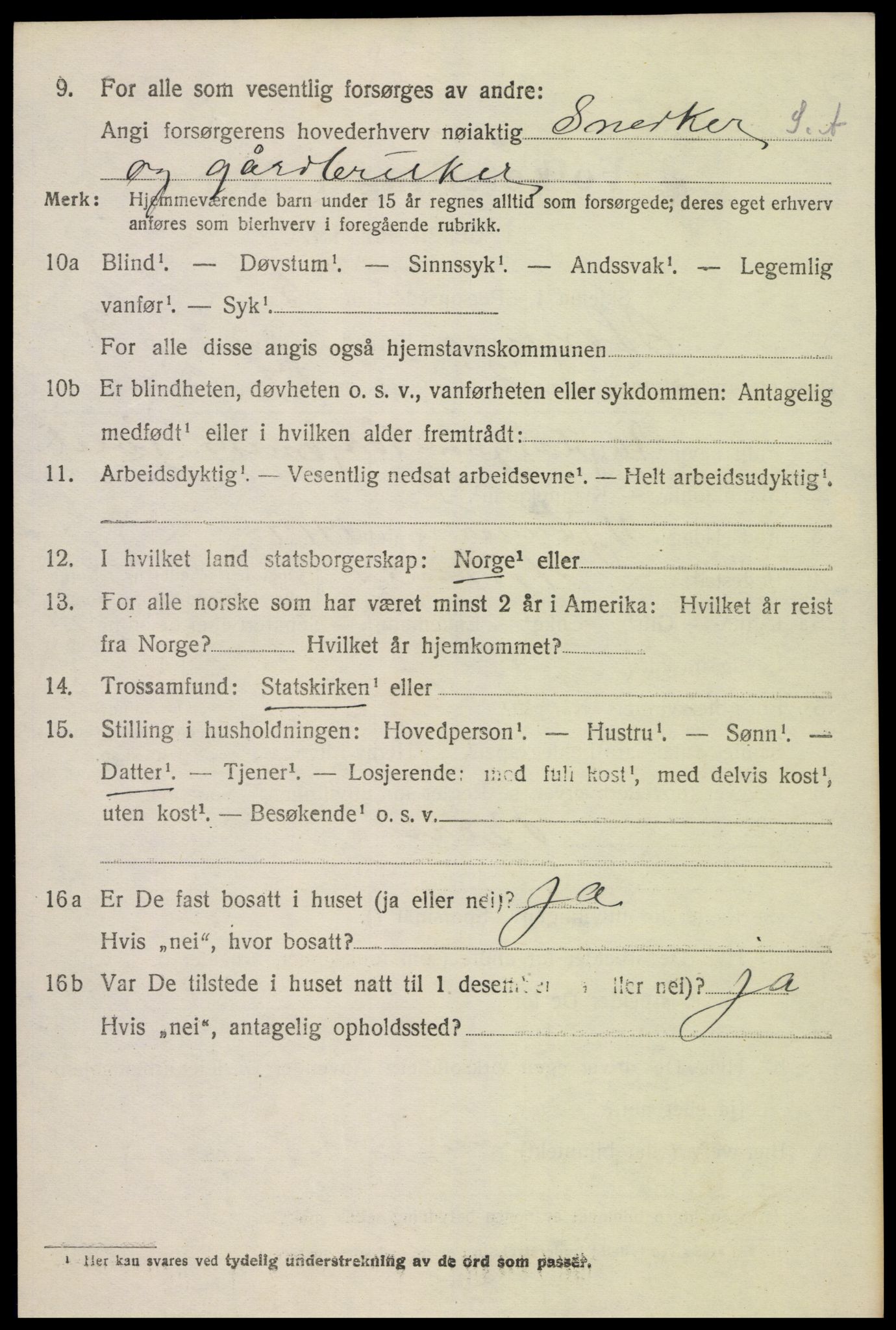 SAK, Folketelling 1920 for 0936 Hornnes herred, 1920, s. 2480