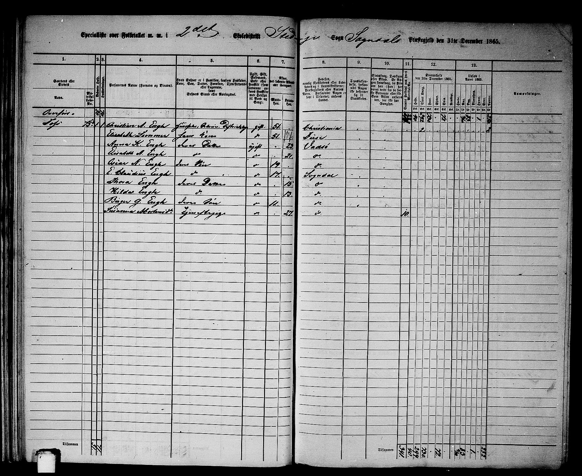 RA, Folketelling 1865 for 1420P Sogndal prestegjeld, 1865, s. 41