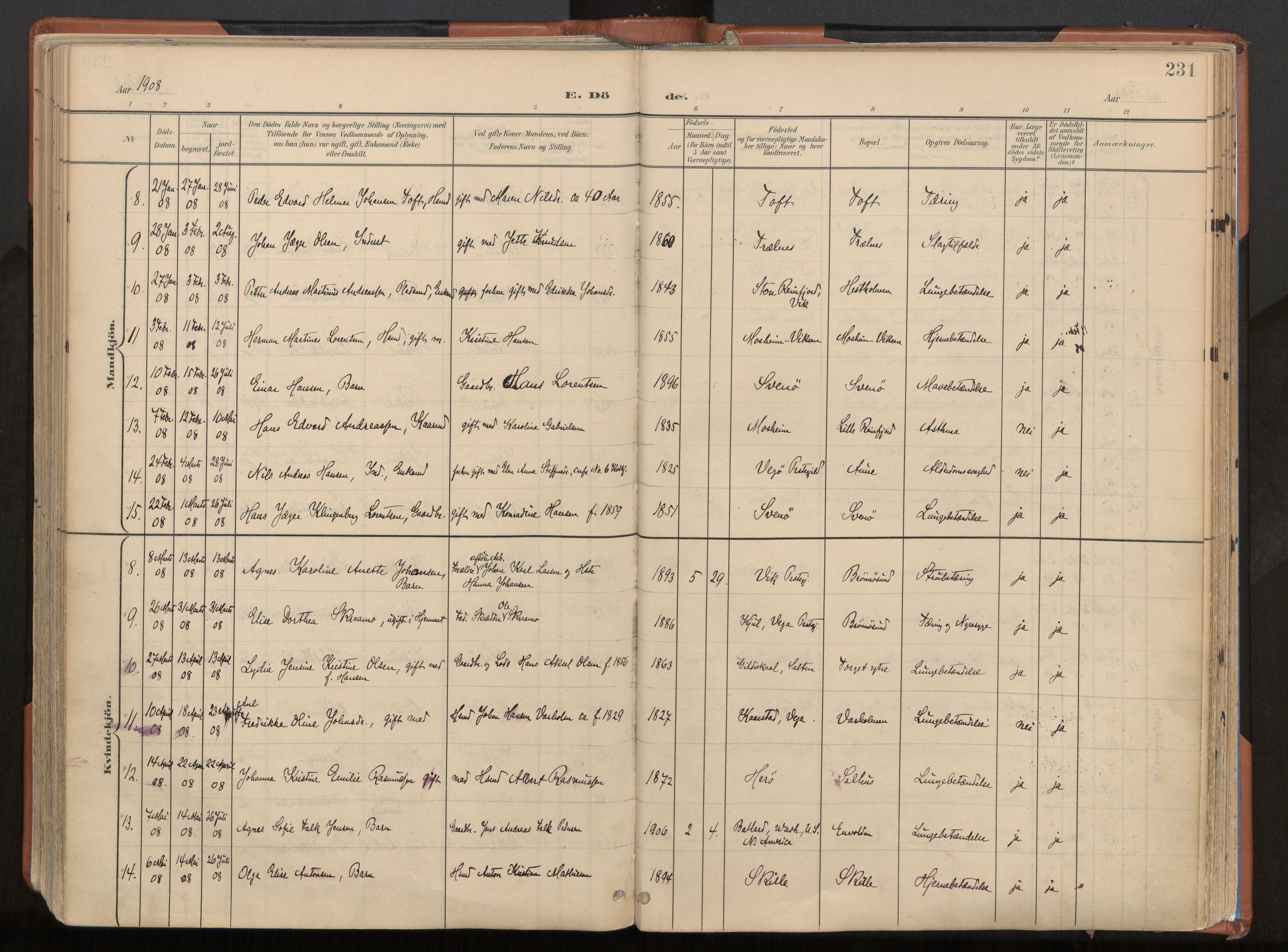 Ministerialprotokoller, klokkerbøker og fødselsregistre - Nordland, AV/SAT-A-1459/813/L0201: Ministerialbok nr. 813A11, 1901-1918, s. 231