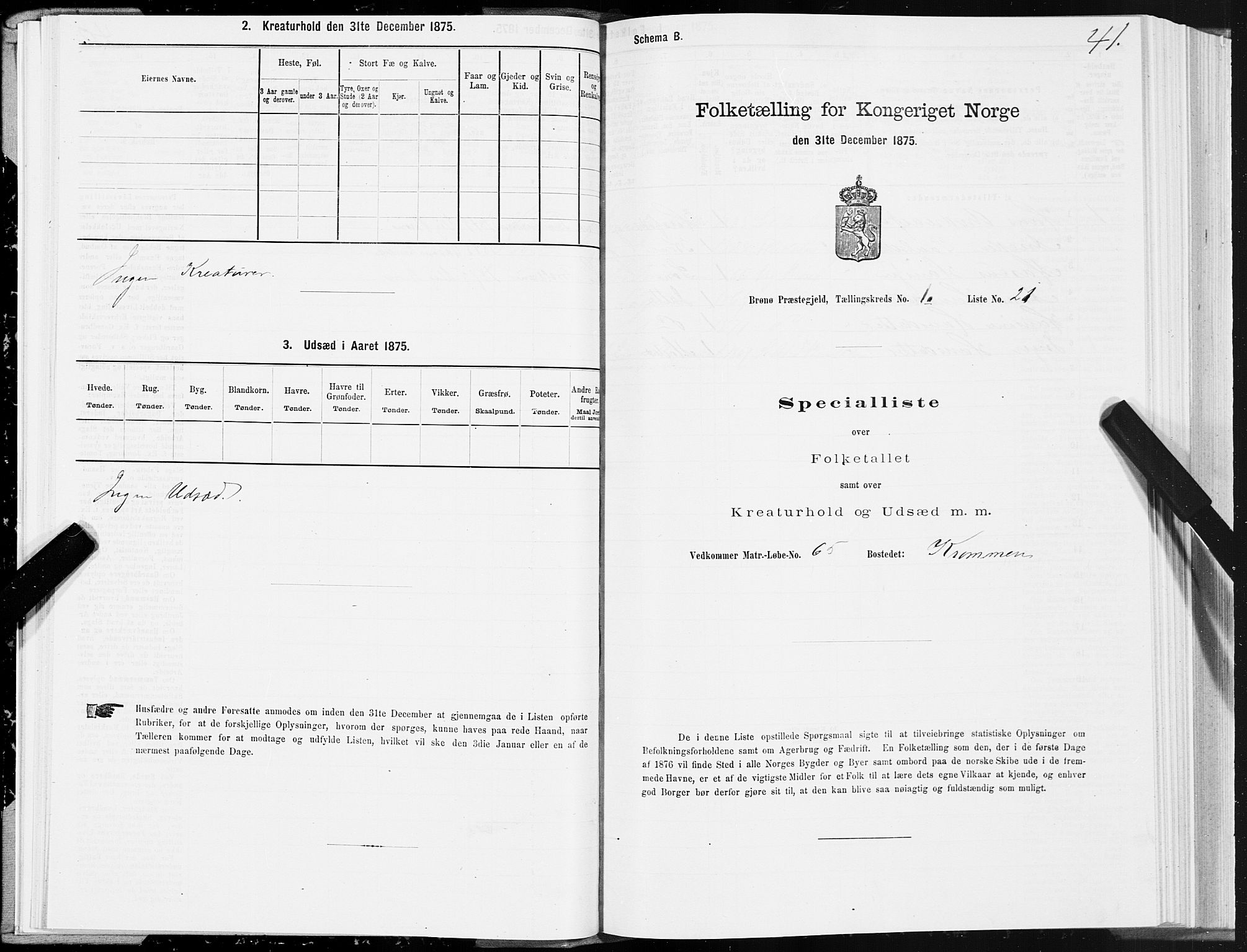 SAT, Folketelling 1875 for 1814P Brønnøy prestegjeld, 1875, s. 1041