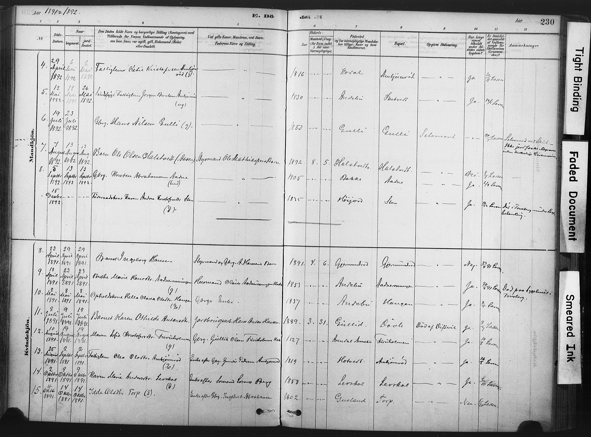 Andebu kirkebøker, AV/SAKO-A-336/F/Fa/L0007: Ministerialbok nr. I 7, 1878-1899, s. 230