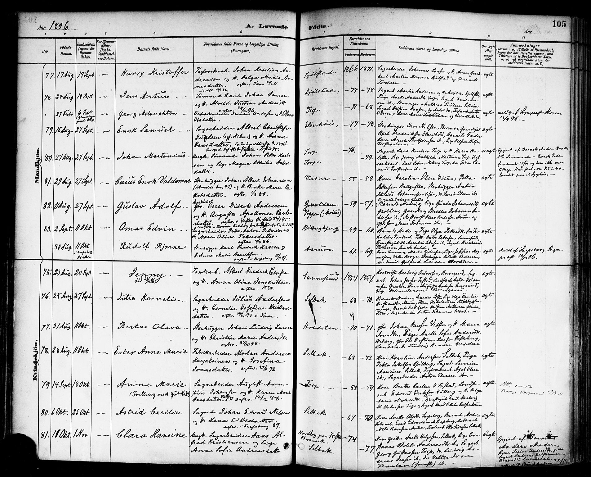 Borge prestekontor Kirkebøker, AV/SAO-A-10903/F/Fa/L0008: Ministerialbok nr. I 8A, 1887-1902, s. 105