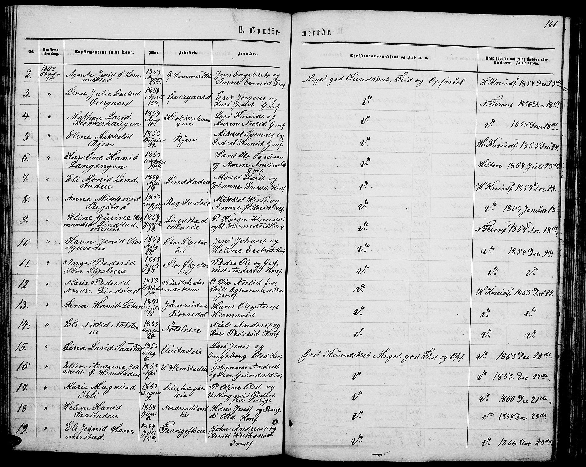 Stange prestekontor, AV/SAH-PREST-002/L/L0006: Klokkerbok nr. 6, 1864-1882, s. 161