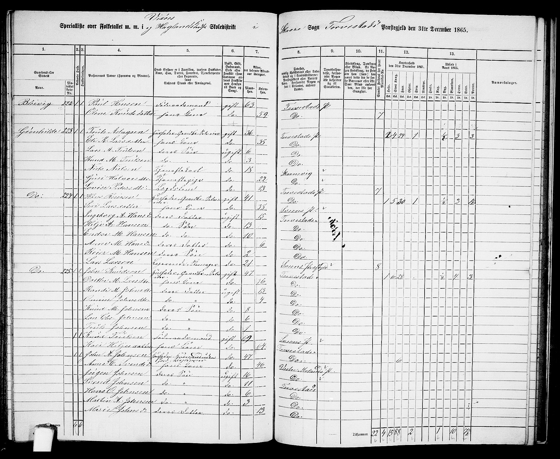 RA, Folketelling 1865 for 1152L Torvastad prestegjeld, Torvastad sokn, Skåre sokn og Utsira sokn, 1865, s. 133