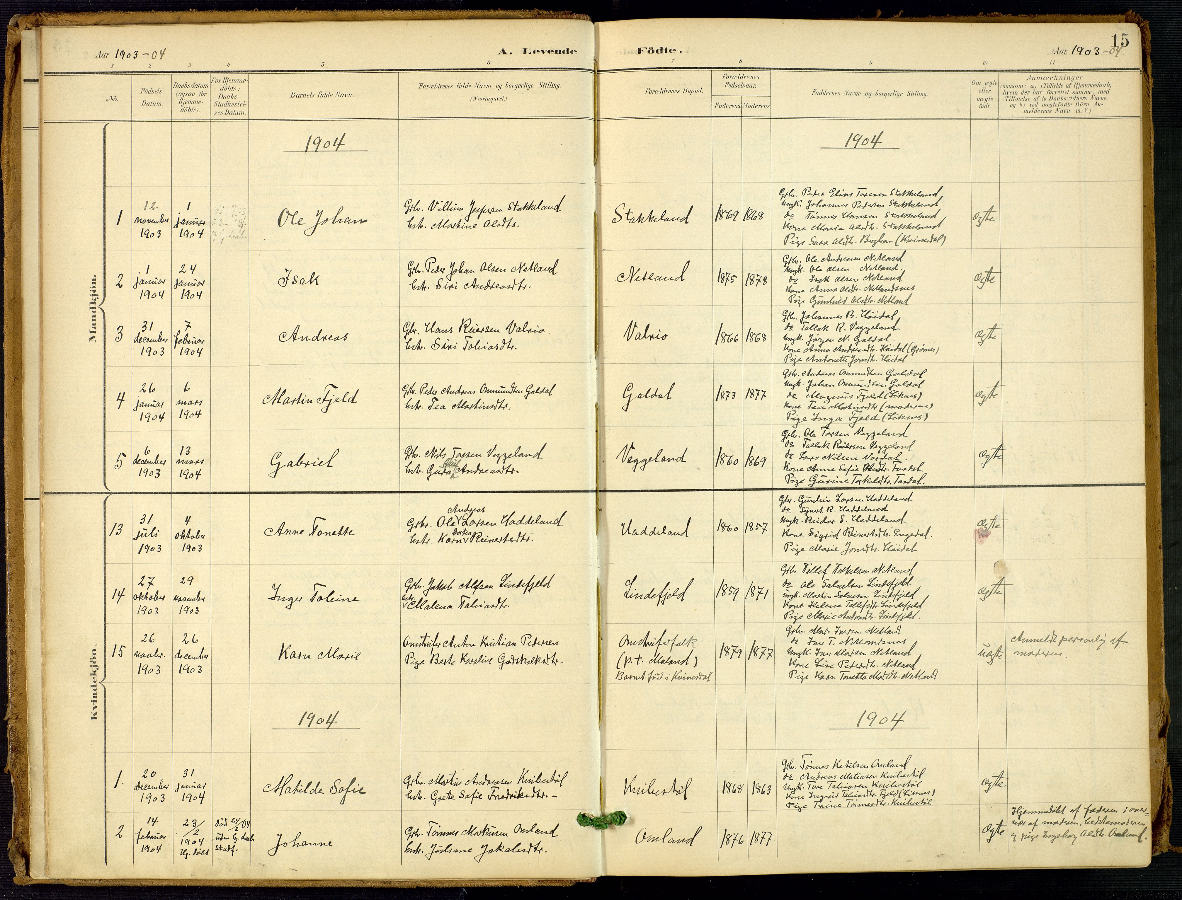 Fjotland sokneprestkontor, AV/SAK-1111-0010/F/Fa/L0003: Ministerialbok nr. A 3, 1899-1917, s. 15