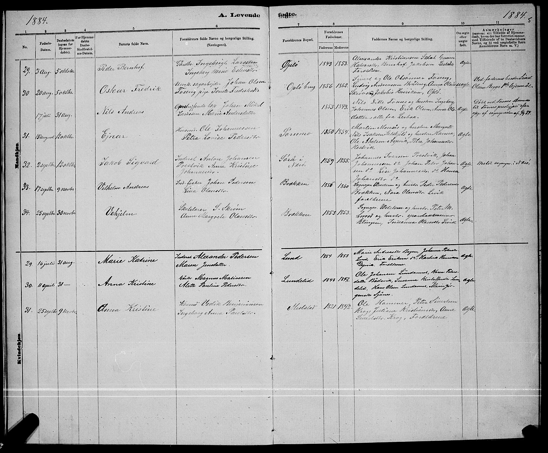 Ministerialprotokoller, klokkerbøker og fødselsregistre - Nord-Trøndelag, AV/SAT-A-1458/780/L0651: Klokkerbok nr. 780C03, 1884-1898, s. 5