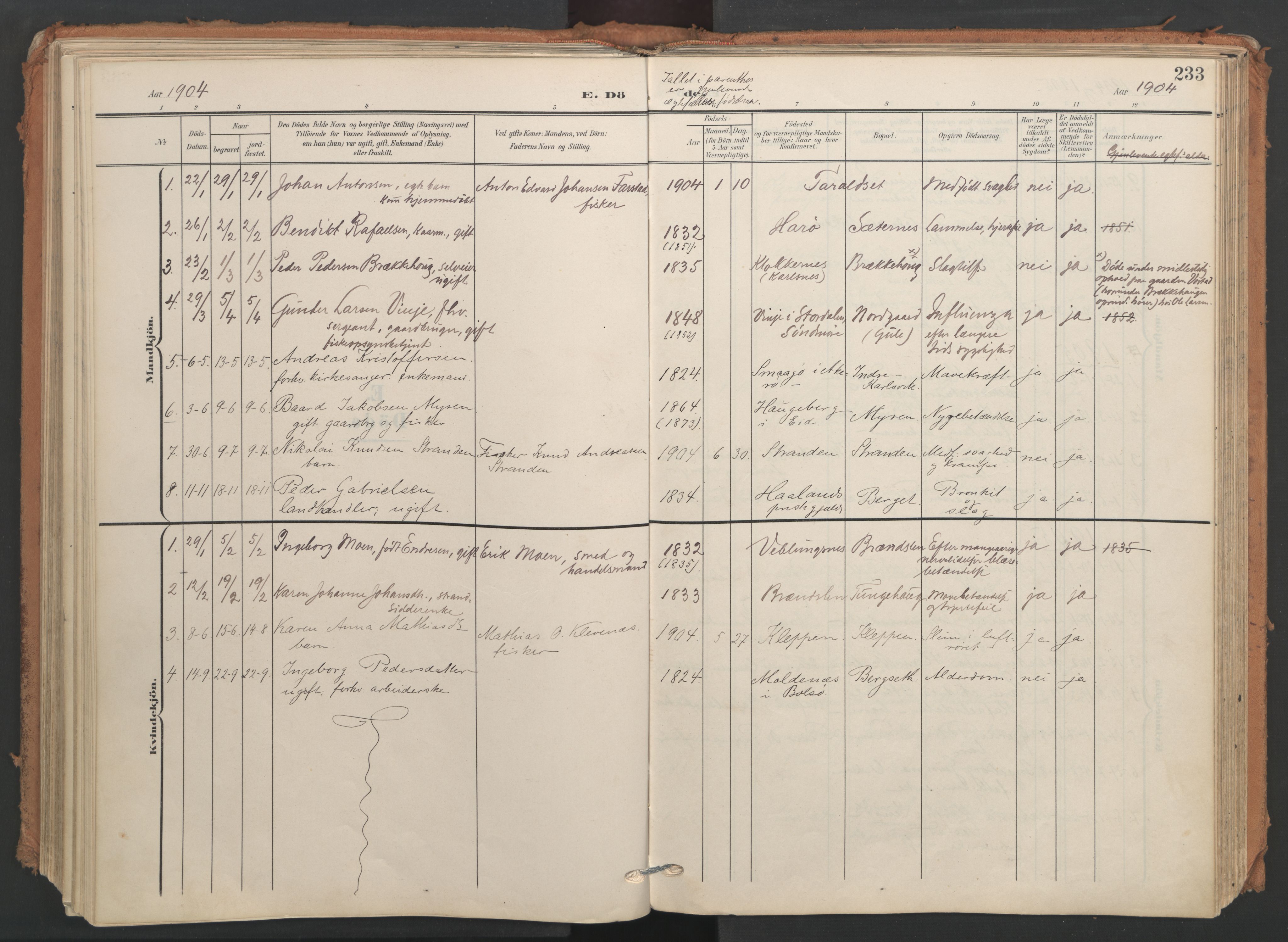 Ministerialprotokoller, klokkerbøker og fødselsregistre - Møre og Romsdal, AV/SAT-A-1454/566/L0771: Ministerialbok nr. 566A10, 1904-1929, s. 233