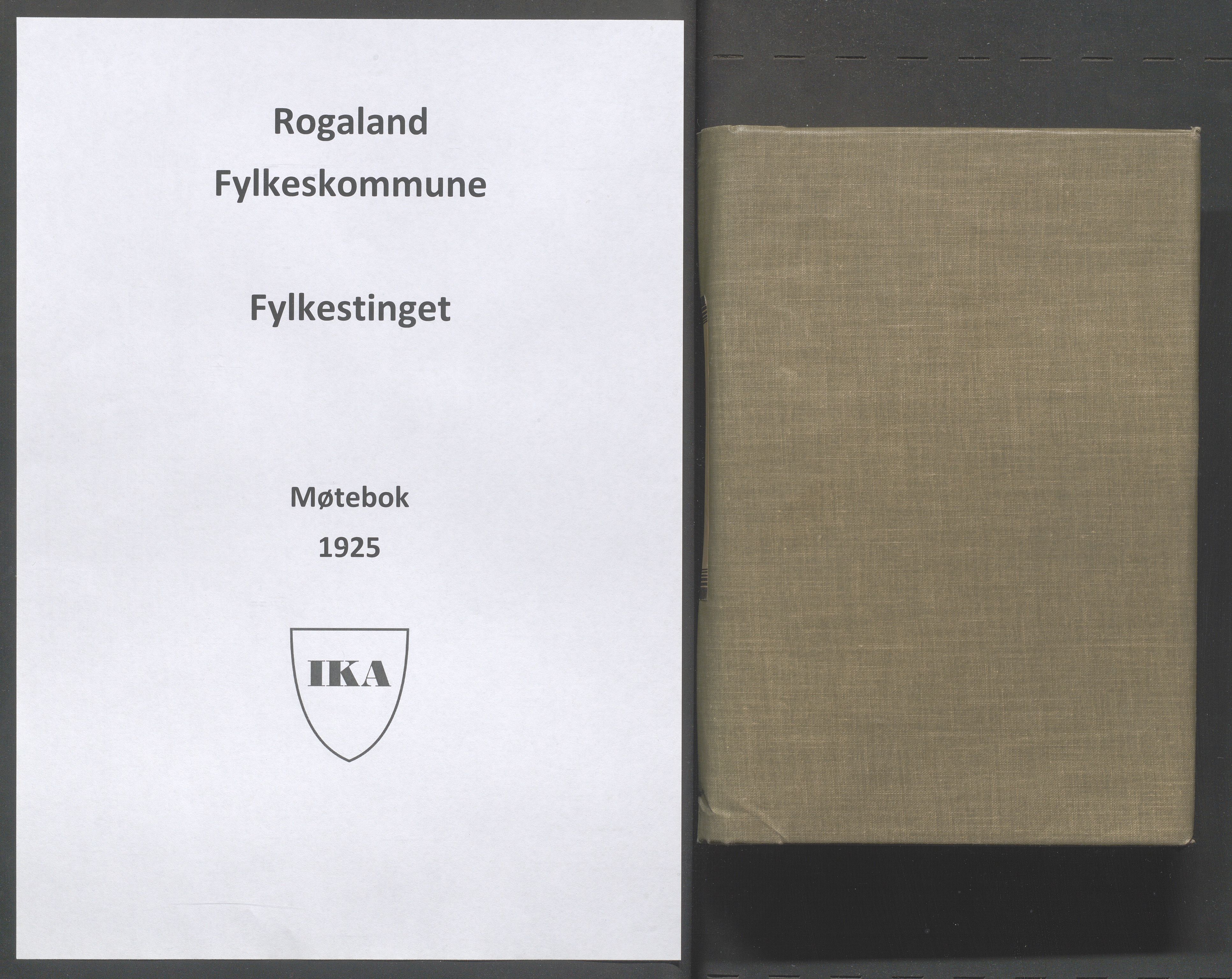 Rogaland fylkeskommune - Fylkesrådmannen , IKAR/A-900/A/Aa/Aaa/L0044: Møtebok , 1925