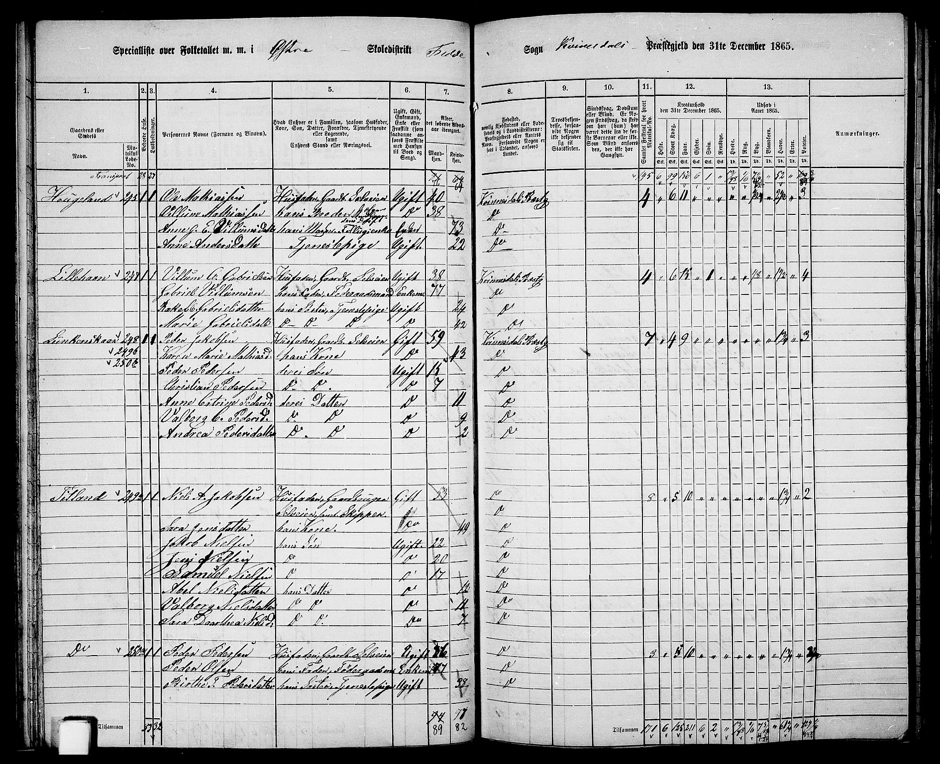 RA, Folketelling 1865 for 1037P Kvinesdal prestegjeld, 1865, s. 62