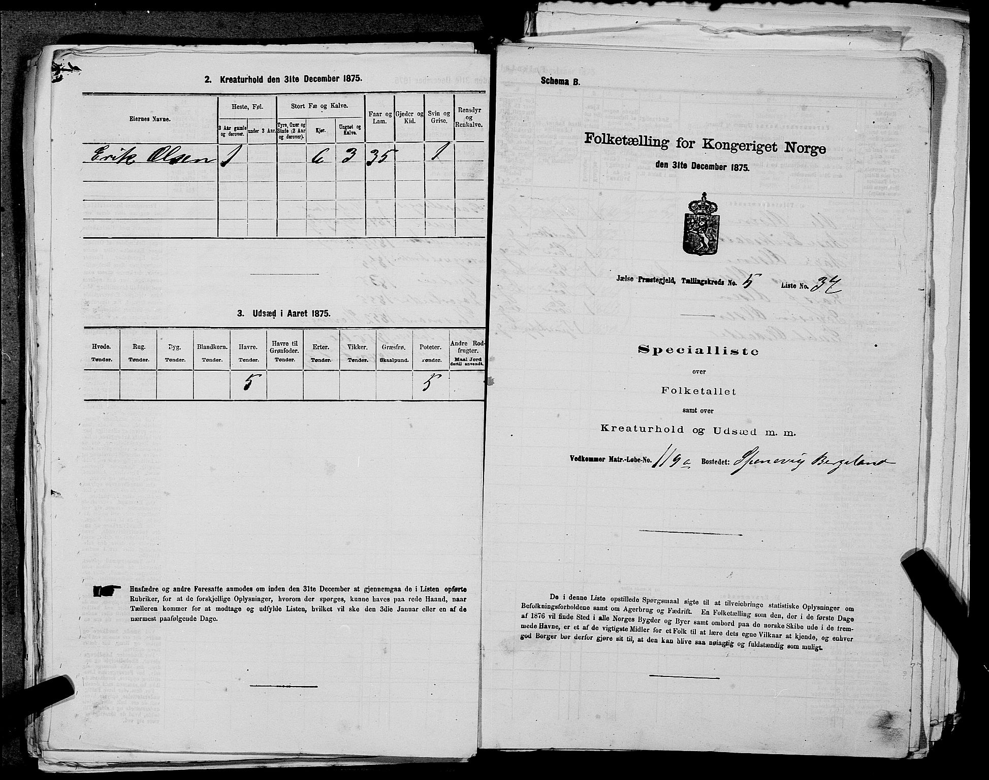 SAST, Folketelling 1875 for 1138P Jelsa prestegjeld, 1875, s. 487
