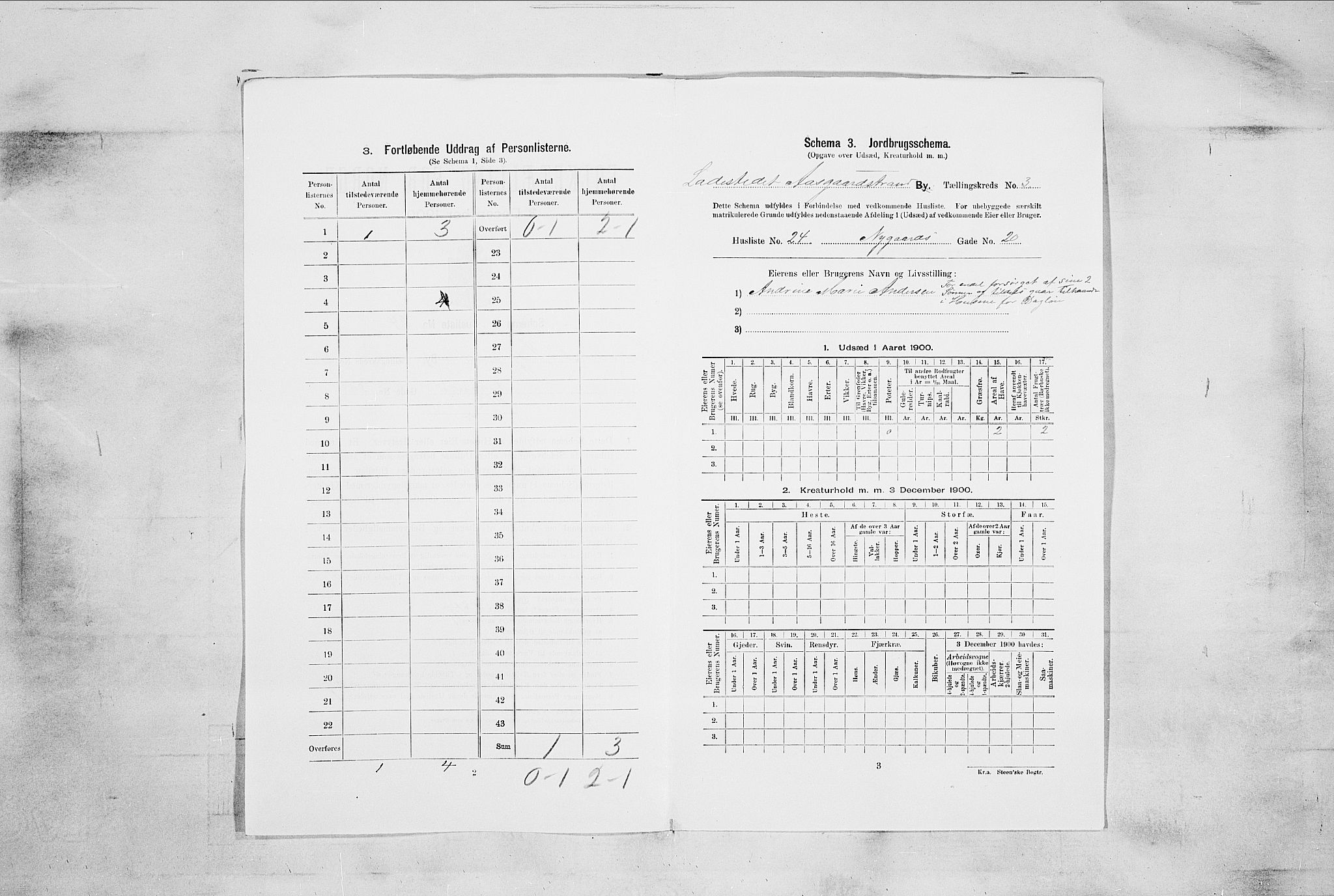 RA, Folketelling 1900 for 0704 Åsgårdstrand ladested, 1900, s. 371