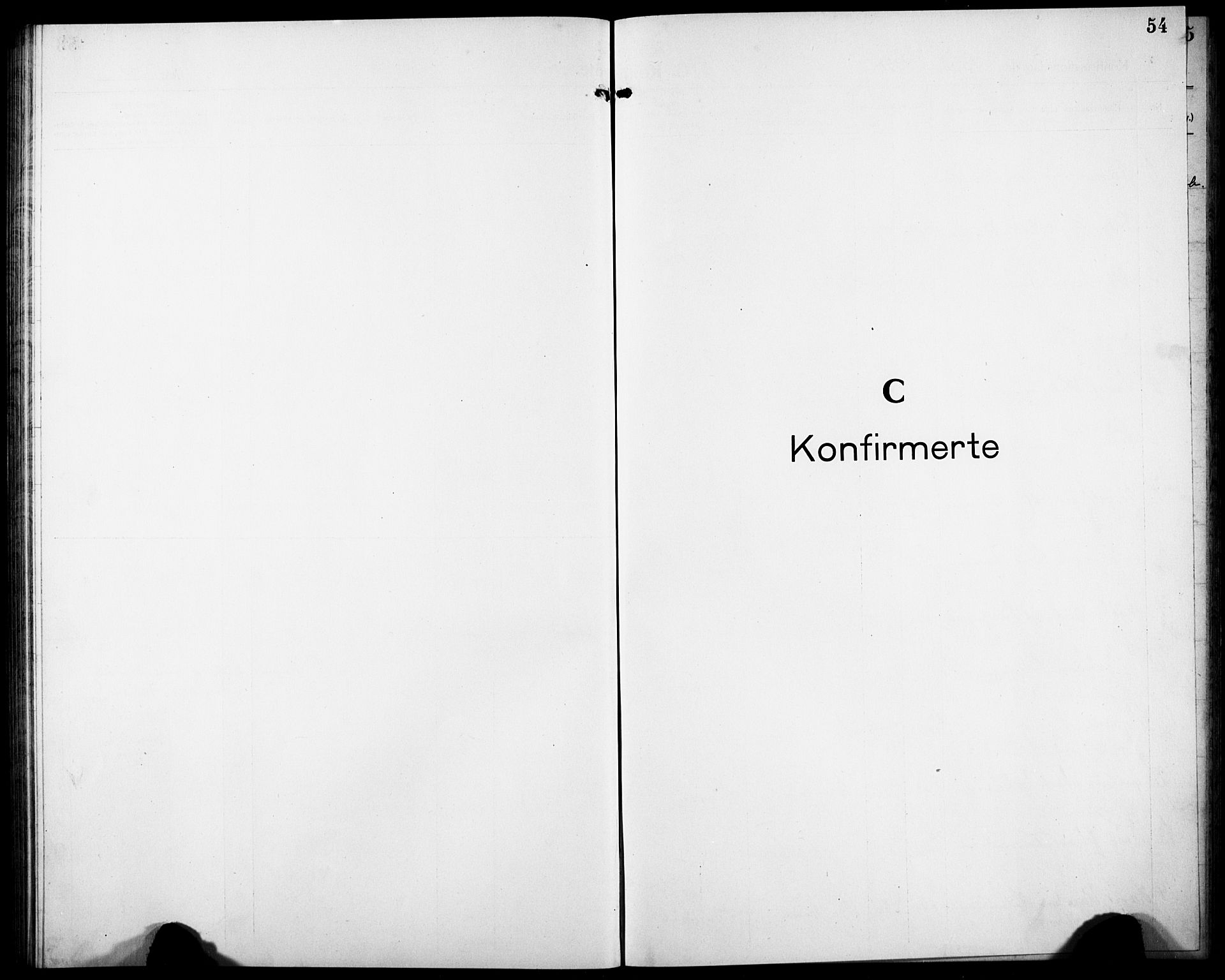 Ministerialprotokoller, klokkerbøker og fødselsregistre - Nordland, AV/SAT-A-1459/832/L0495: Klokkerbok nr. 832C02, 1920-1932, s. 54