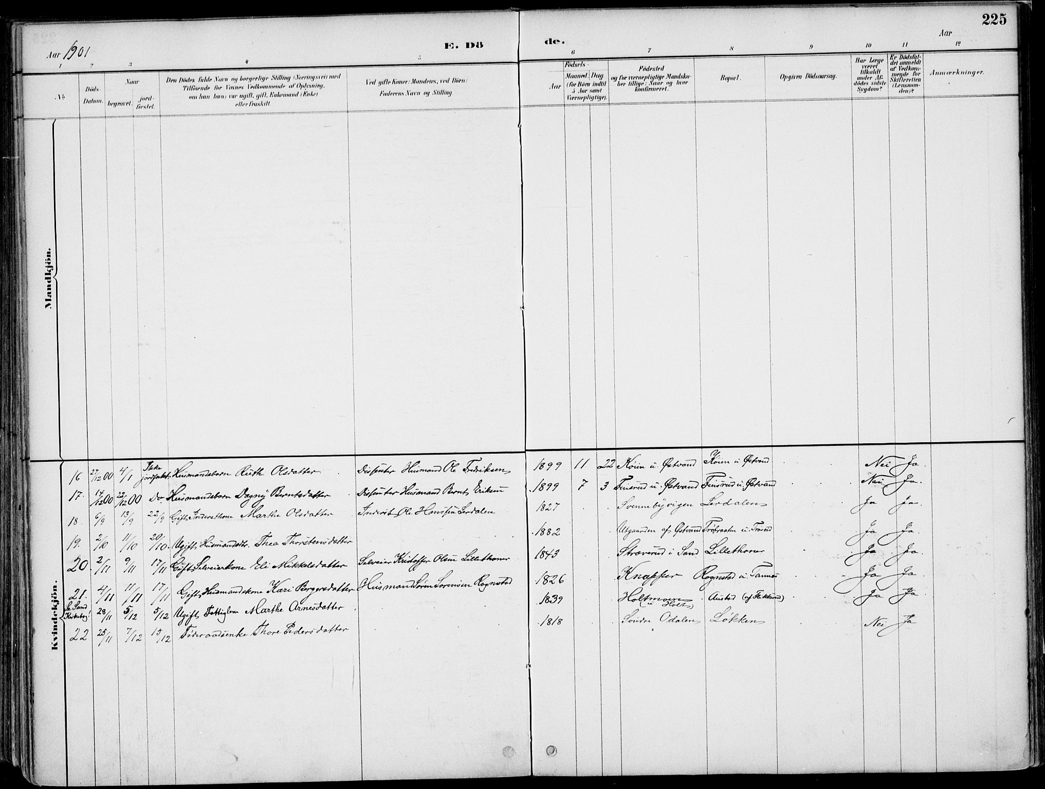 Nord-Odal prestekontor, AV/SAH-PREST-032/H/Ha/Haa/L0008: Ministerialbok nr. 8, 1886-1901, s. 225