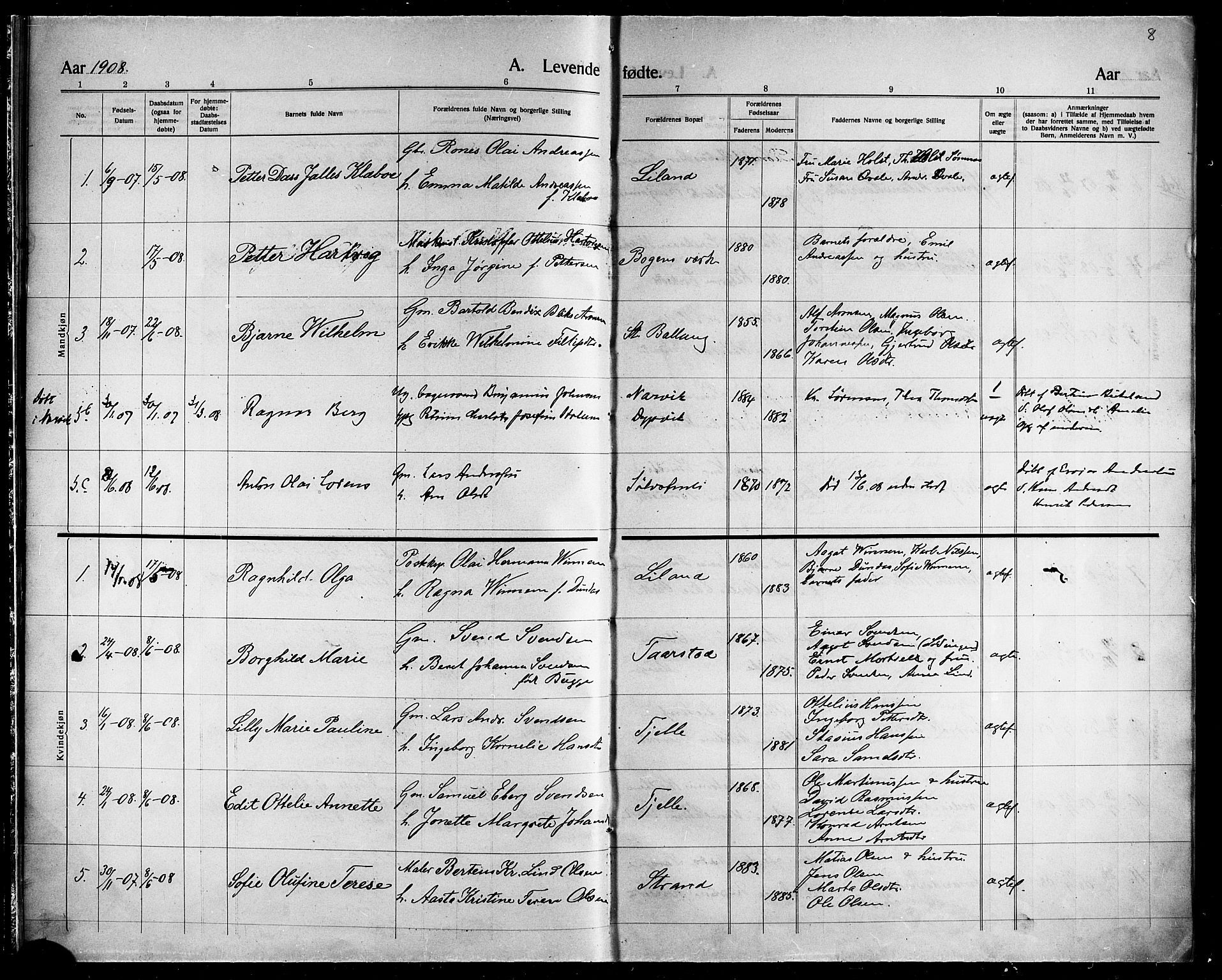 Ministerialprotokoller, klokkerbøker og fødselsregistre - Nordland, SAT/A-1459/863/L0916: Klokkerbok nr. 863C06, 1907-1921, s. 8